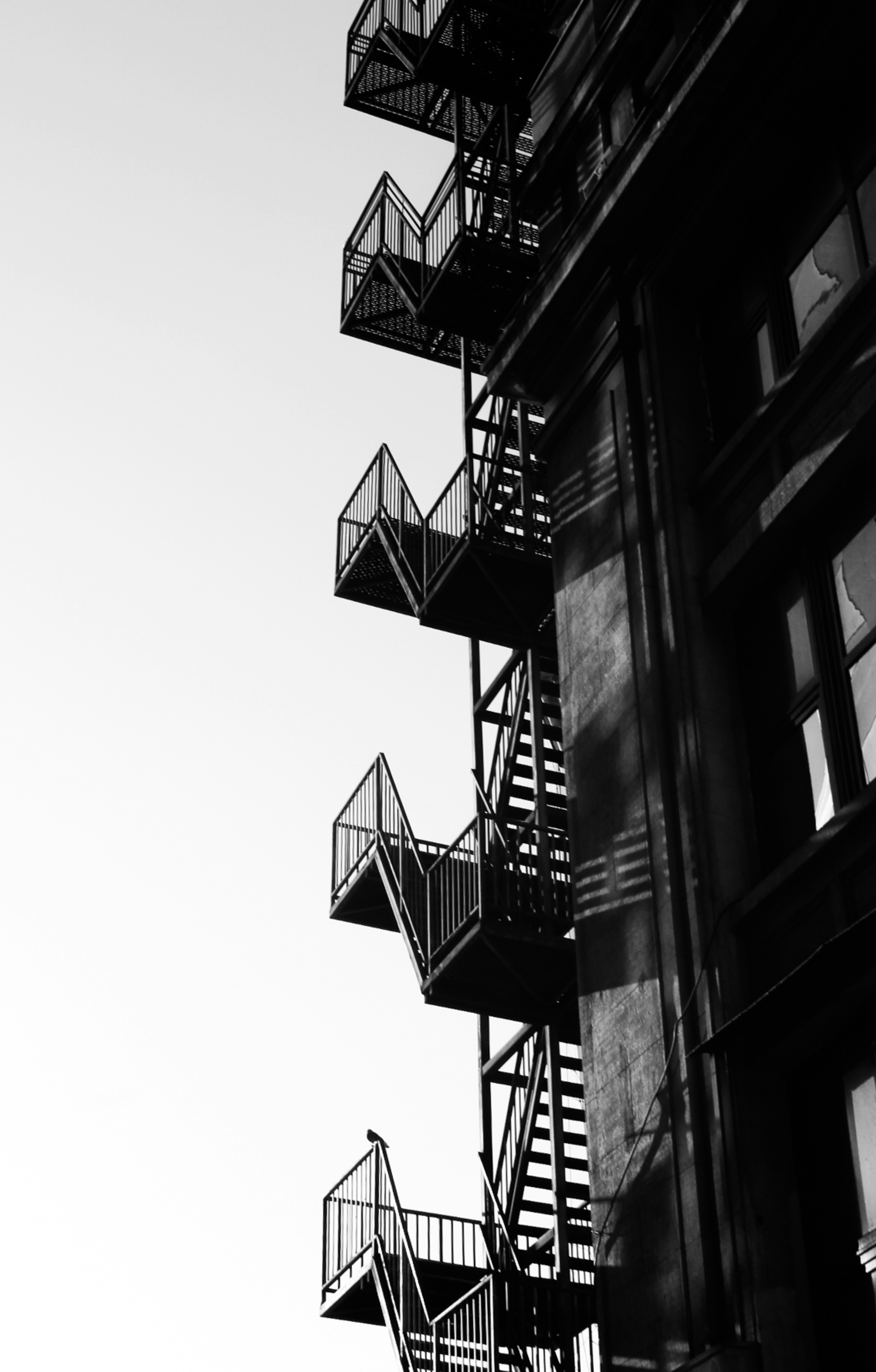 Photo by petratimeea