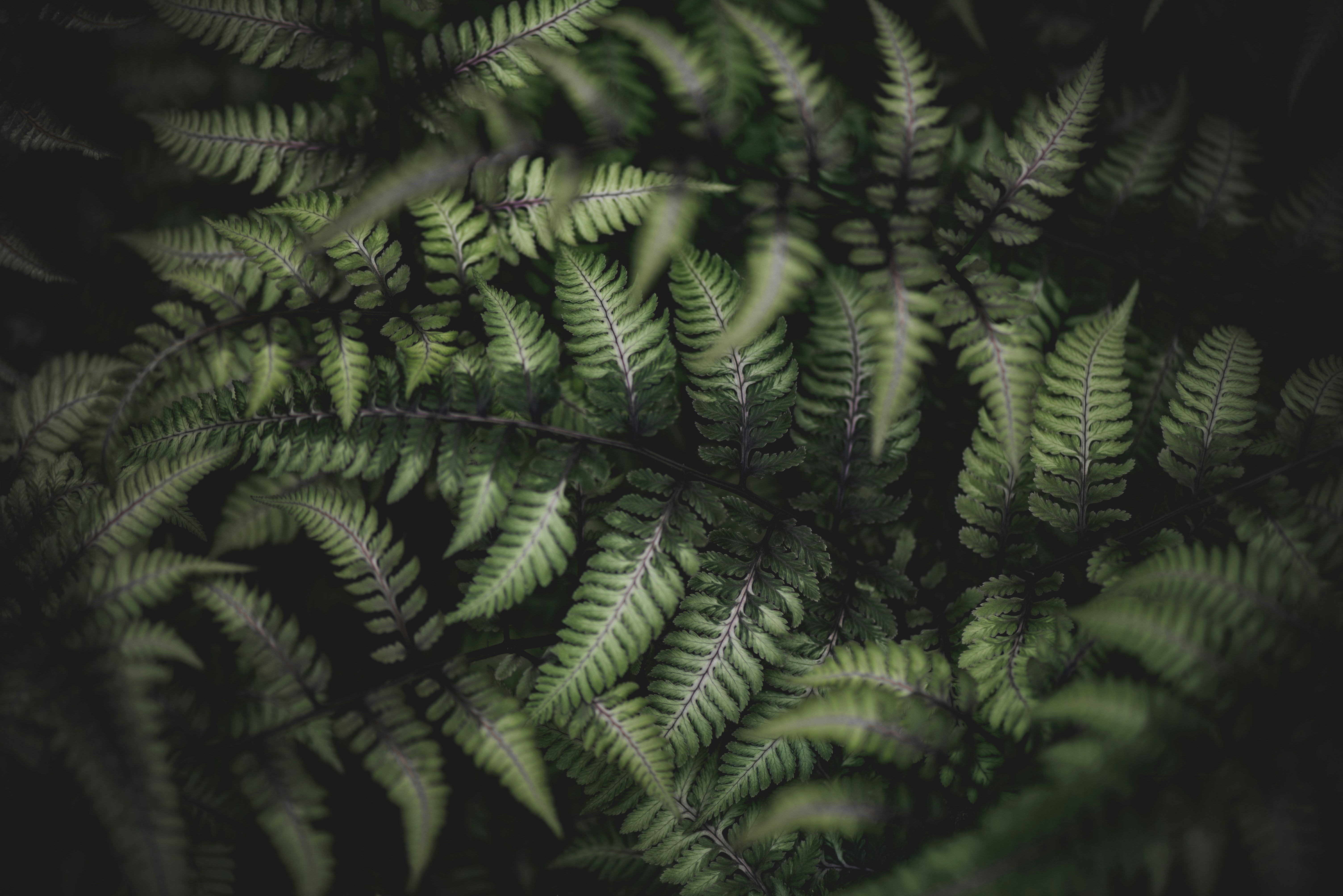 Photo by albulenapanduri