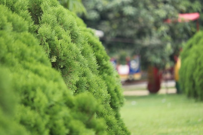 A vibrant landscaping project with fresh greenery and workers planting shrubs.