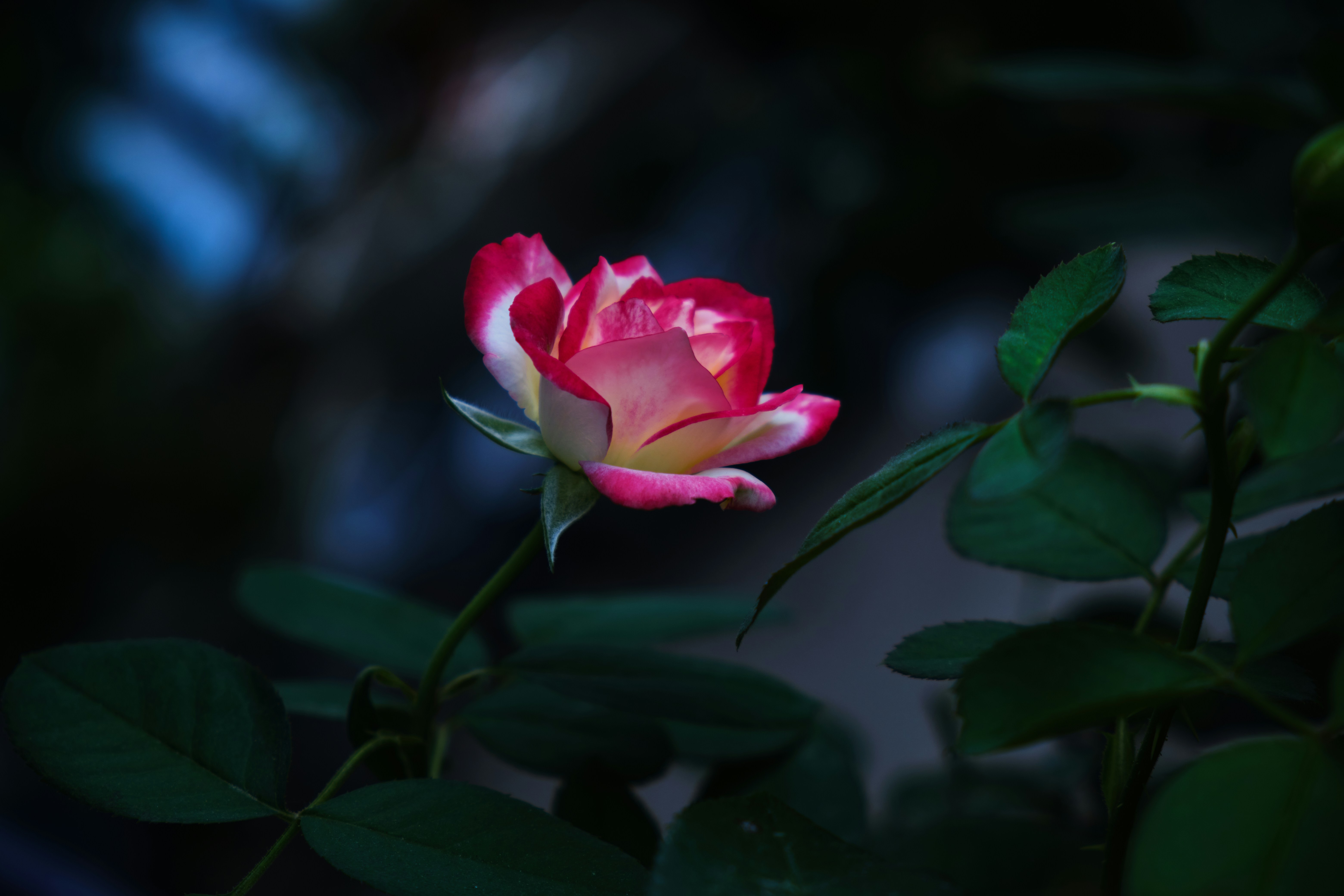 Photo by manhterry93