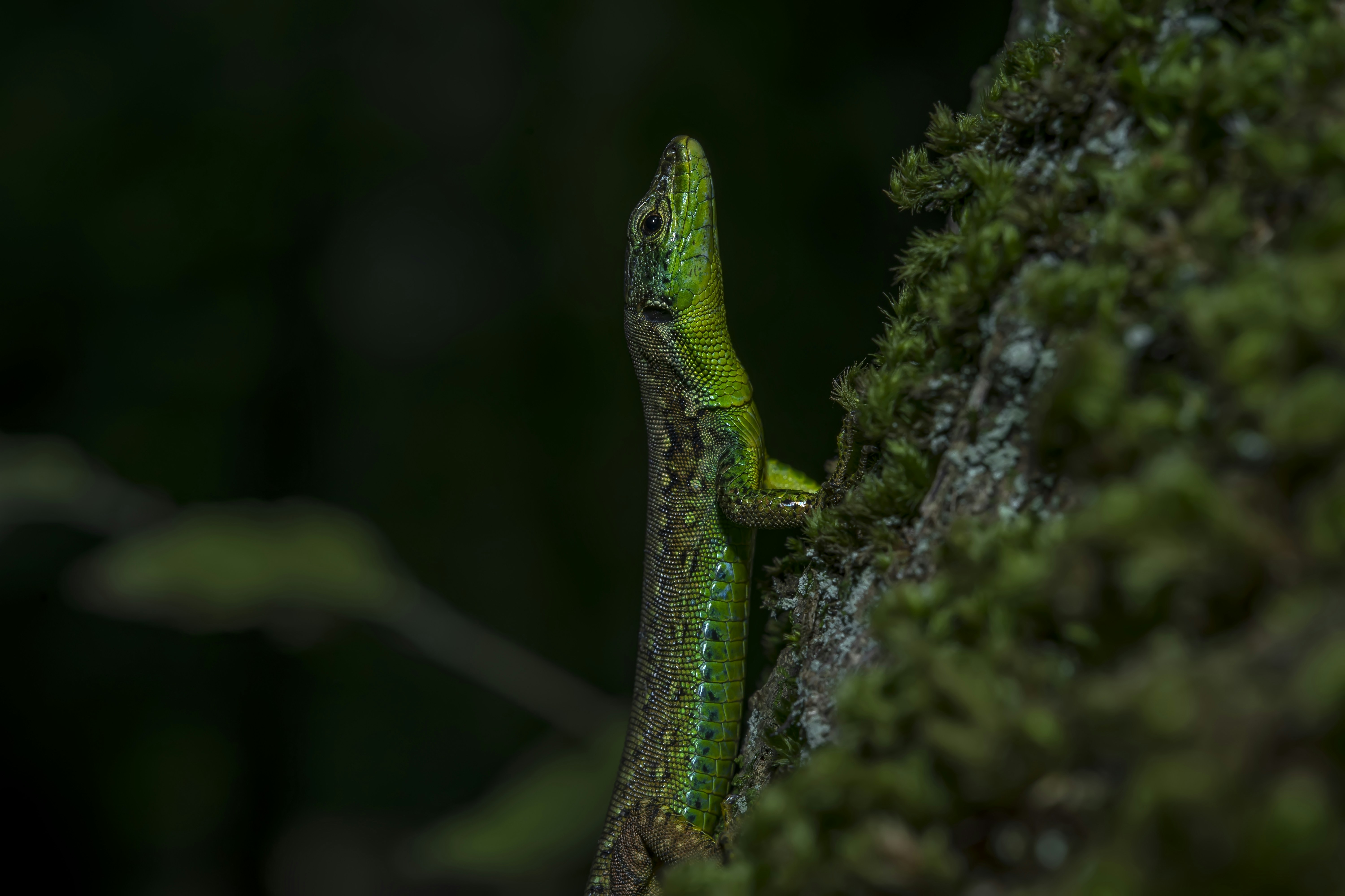 Photo by akbarnemati