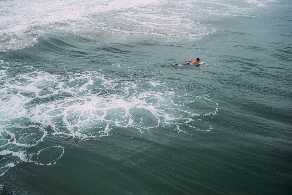 una persona che nuota nell'oceano