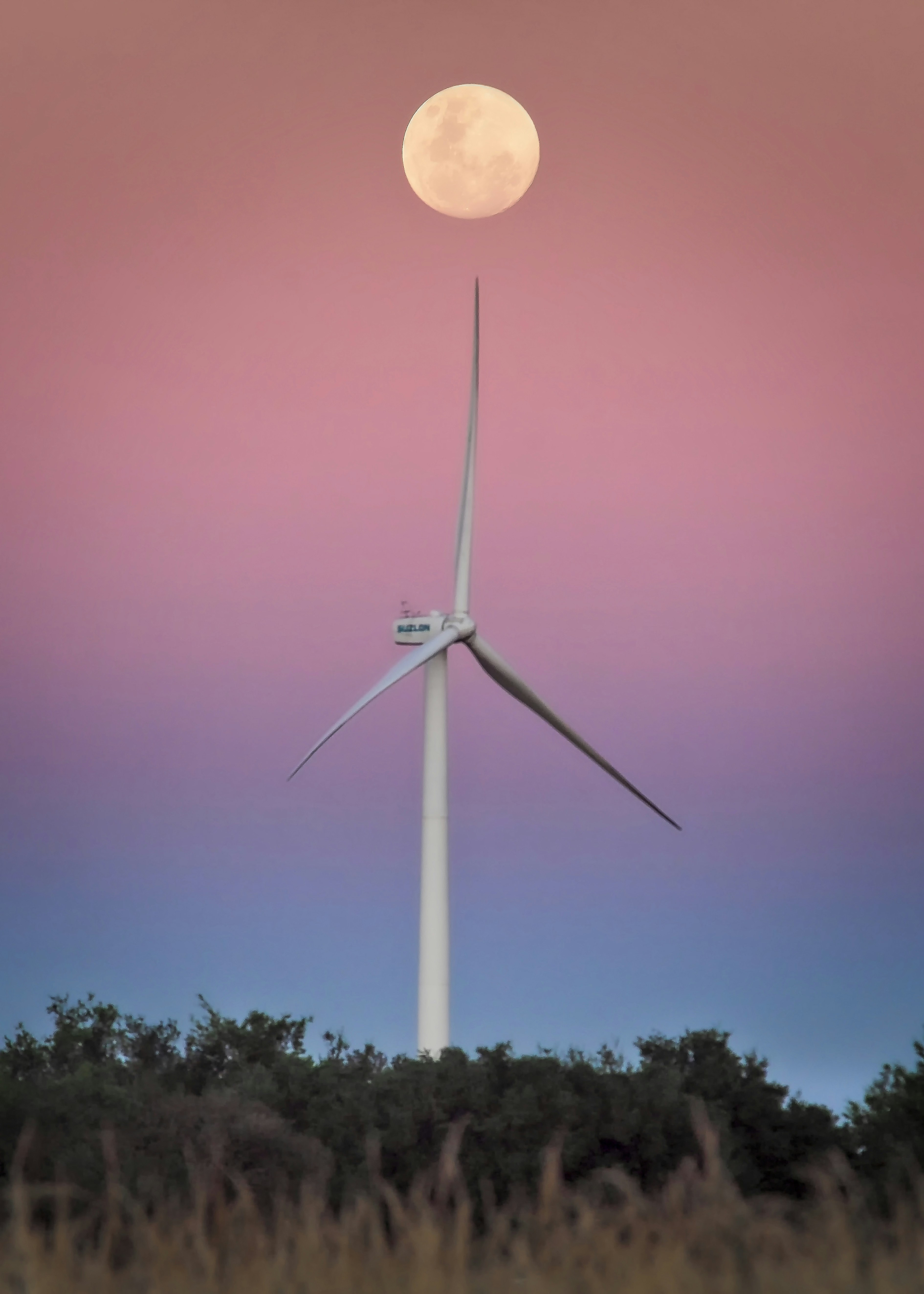 Colonia del Sacramento – Food & Dining Culture