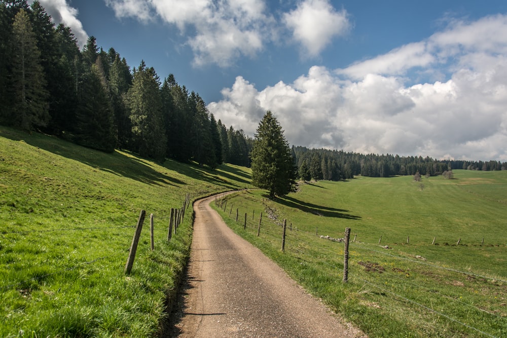 a dirt road in a grassy field