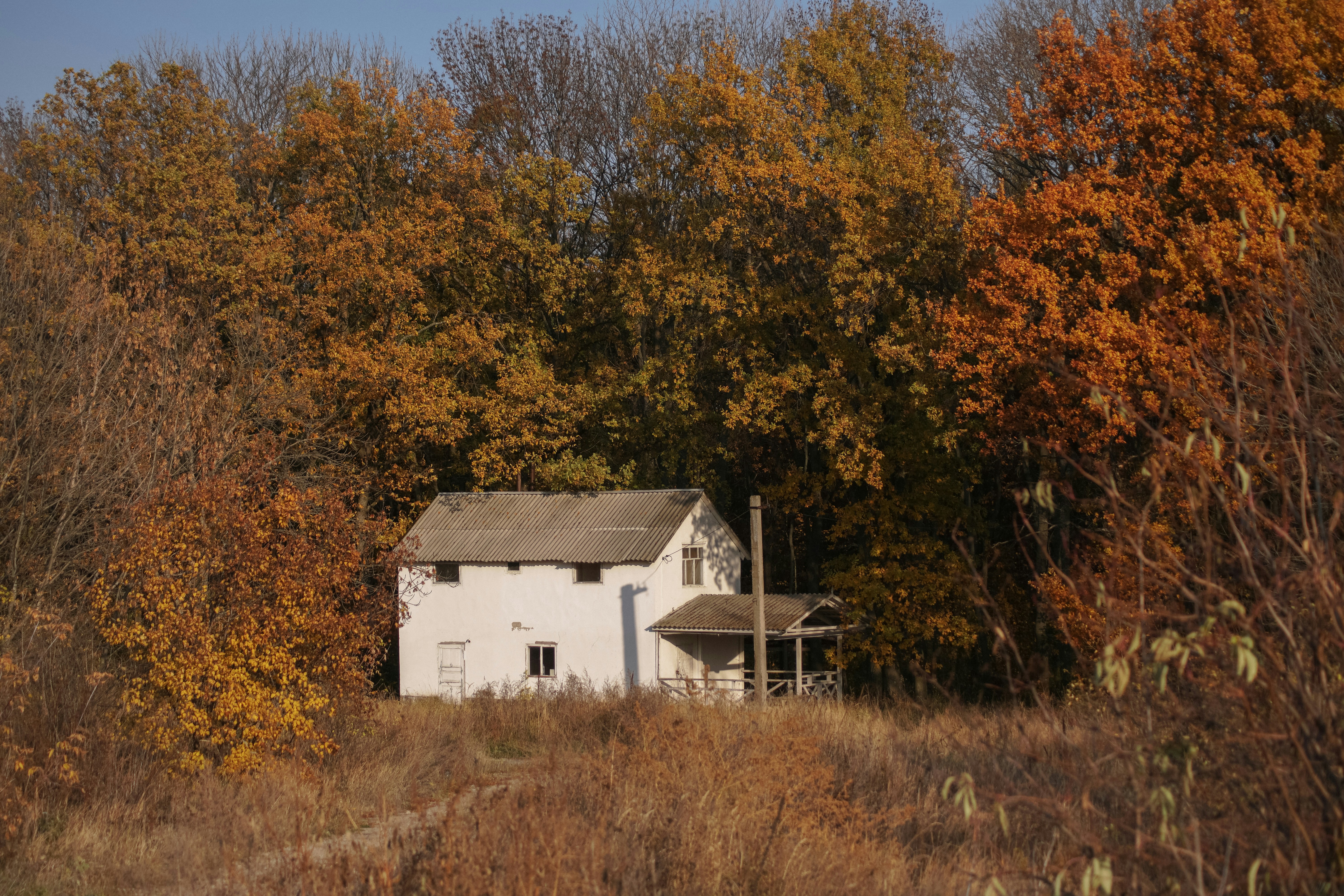 Photo by angrygrandmama