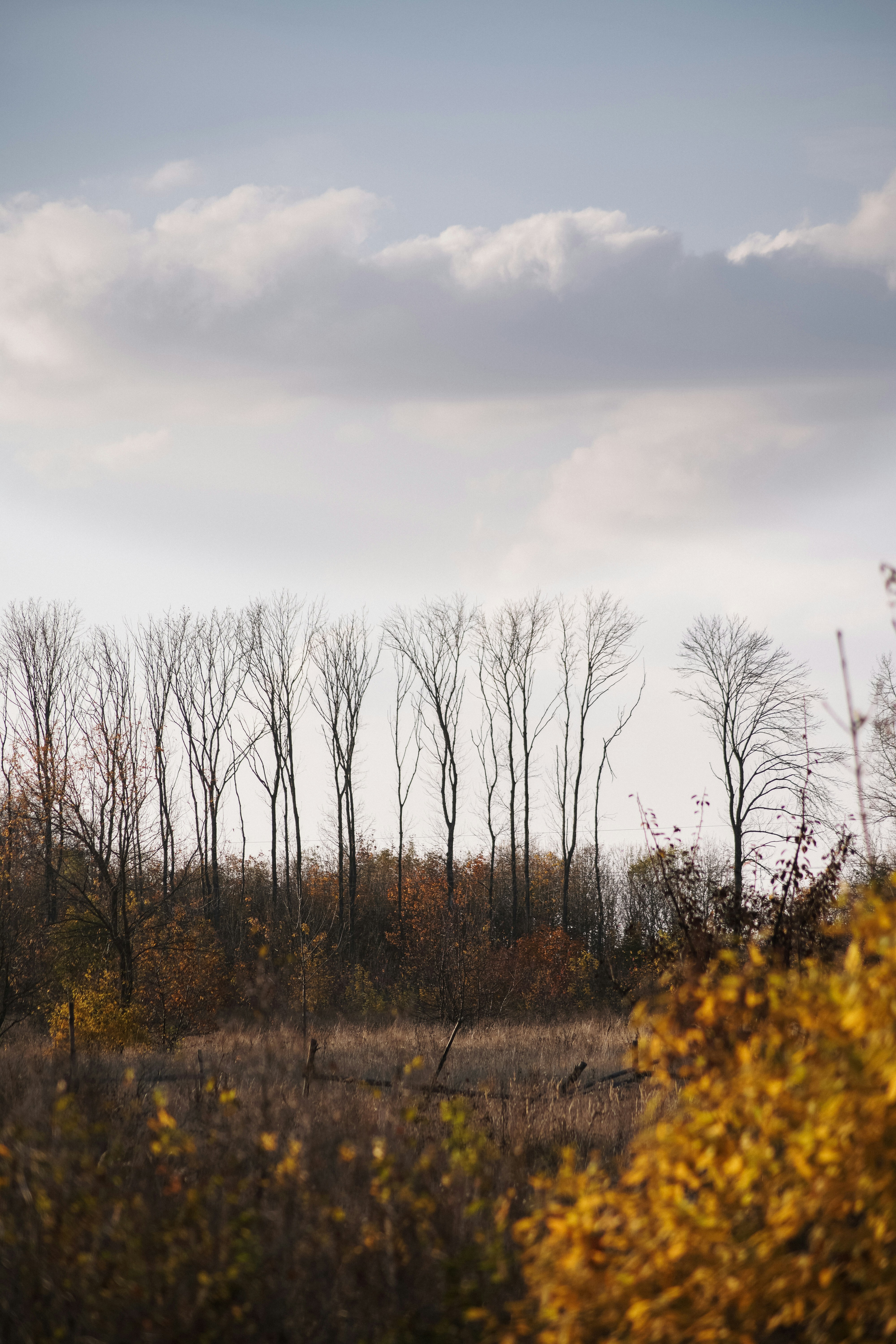 Photo by angrygrandmama