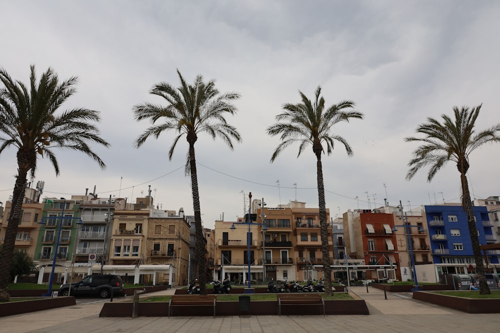 a group of palm trees in front of a row of buildings