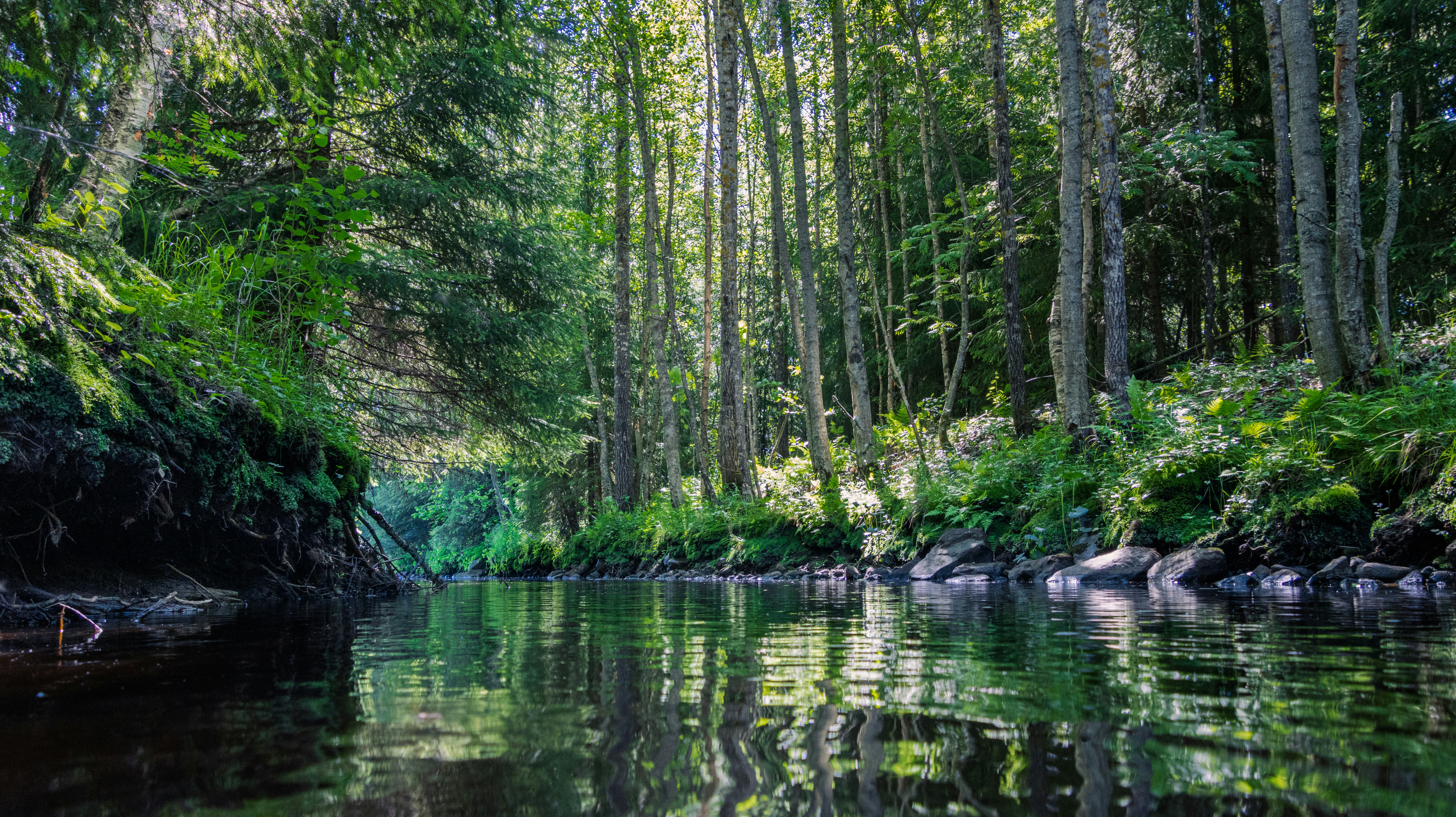 Photo by juho_aleksi_luomala