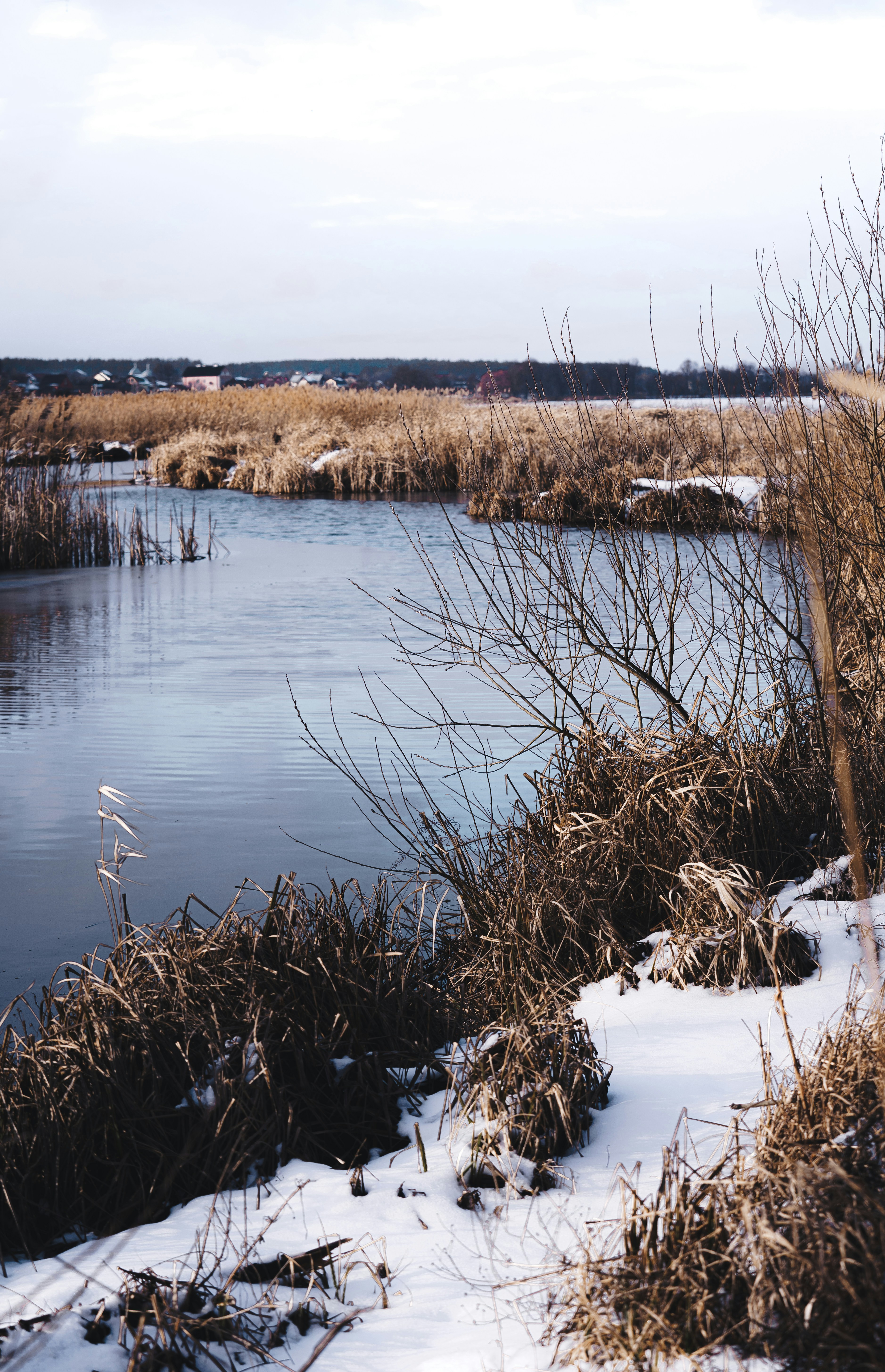 Photo by maksym_tymchyk