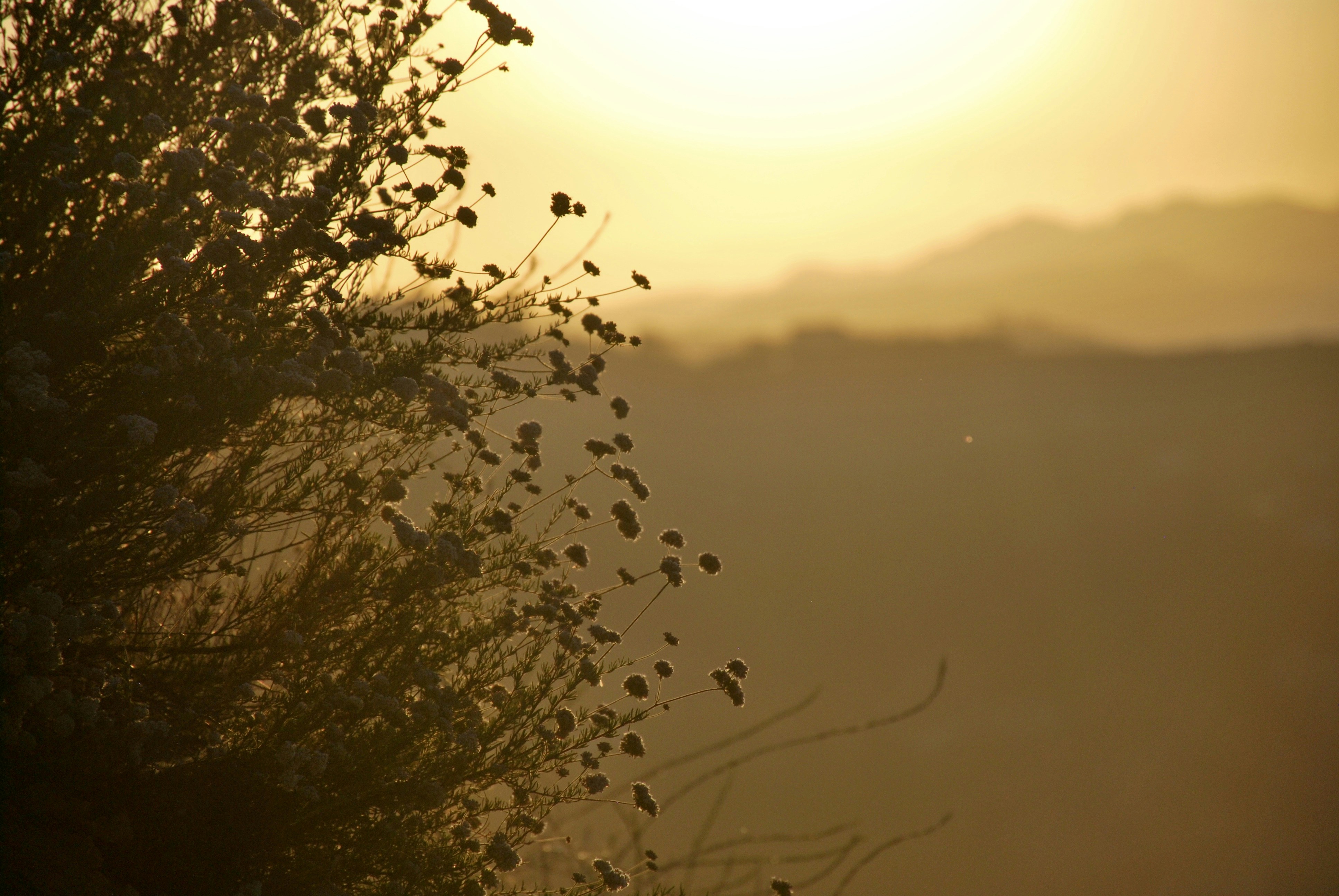 Photo by vacanxy