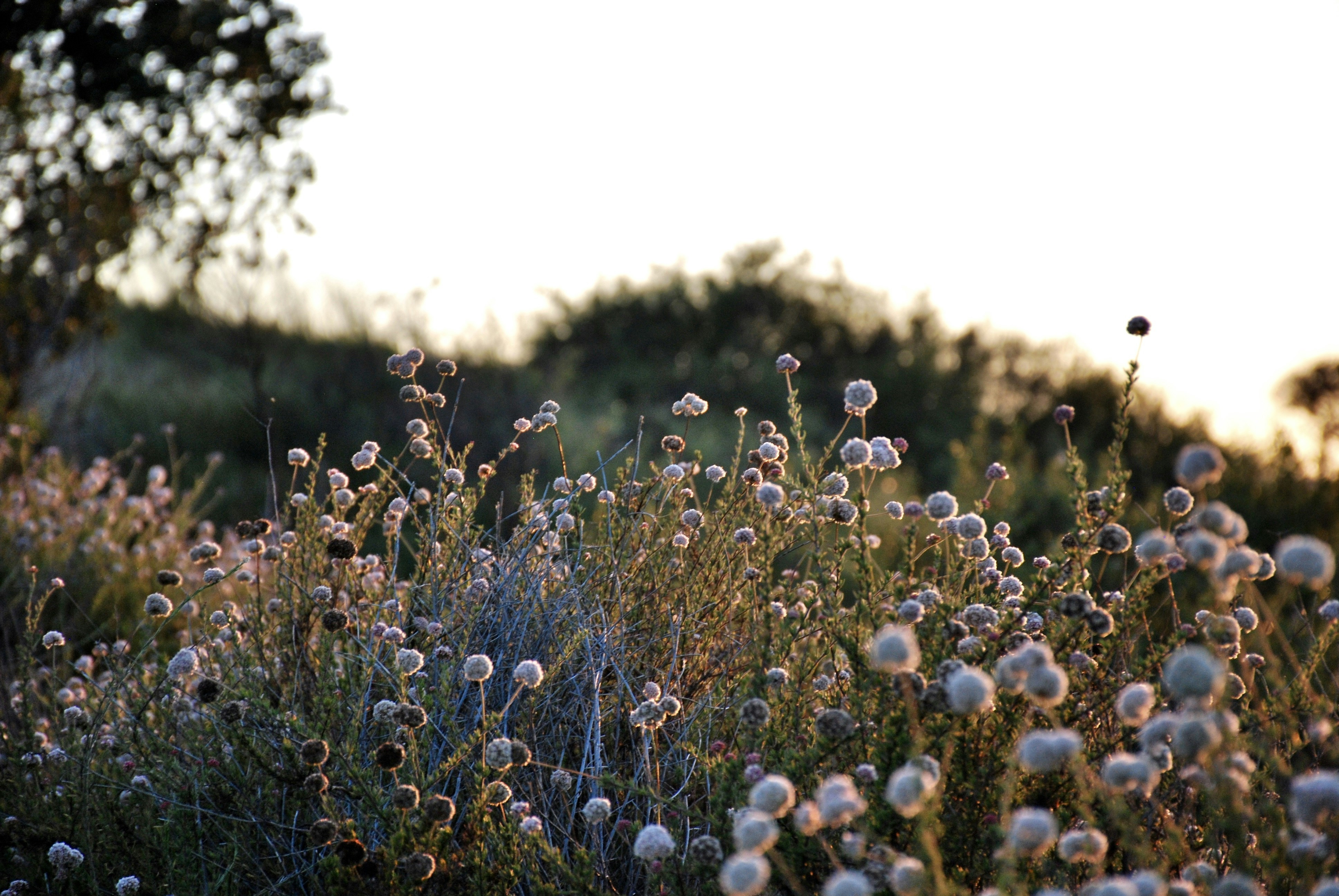 Photo by vacanxy