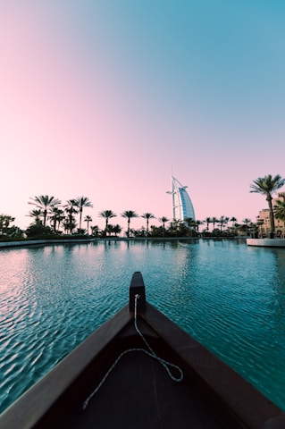 a body of water with trees and buildings in the background