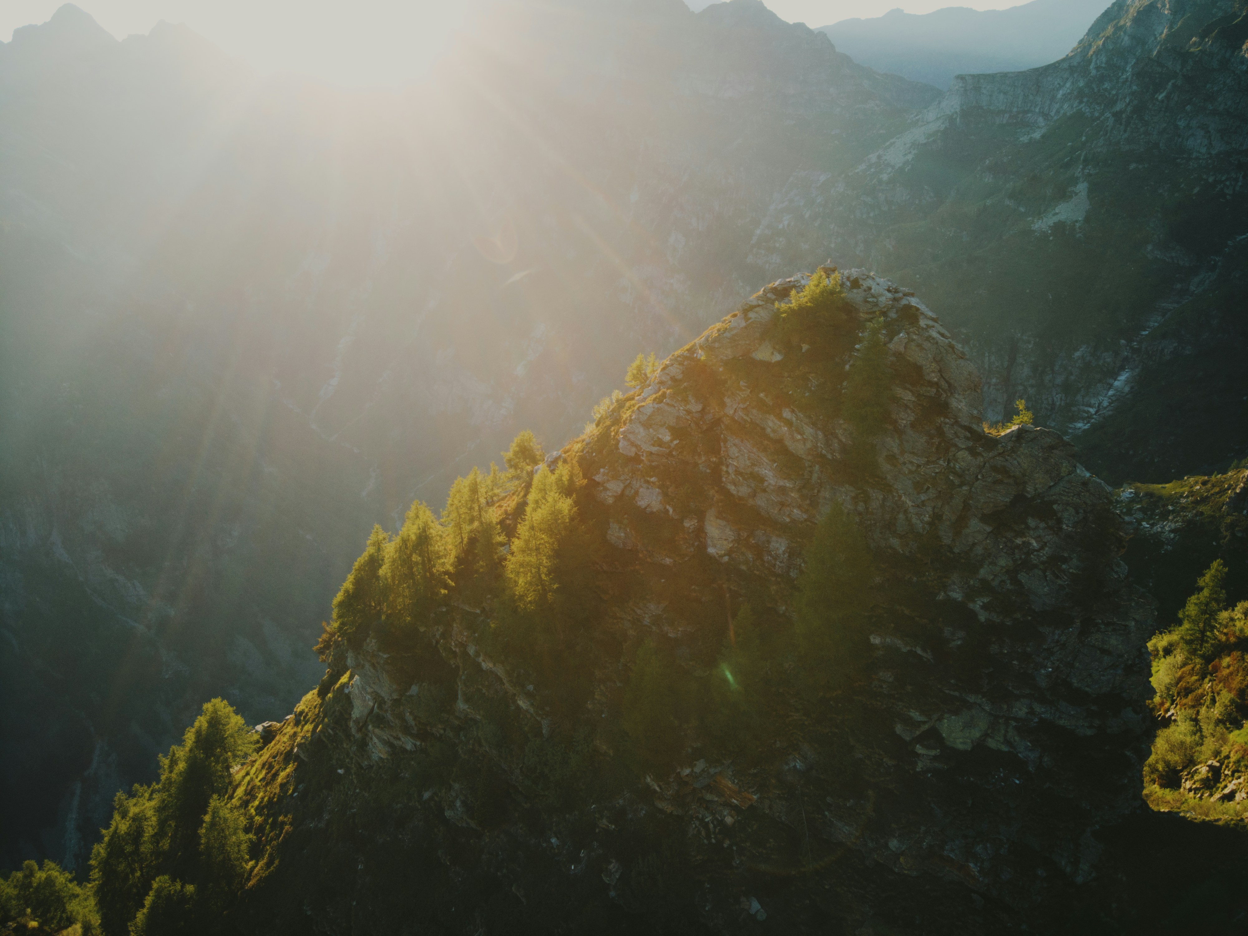 Photo by meister_stamm