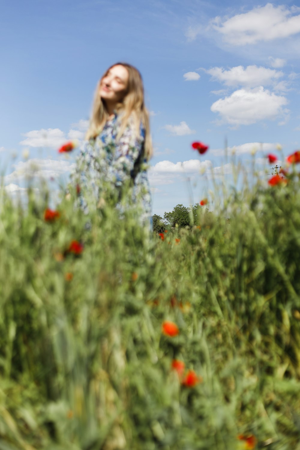 a person standing in a field of flowers