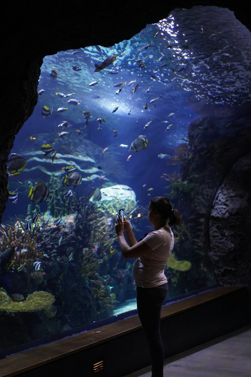 a person taking a picture of fish in a tank