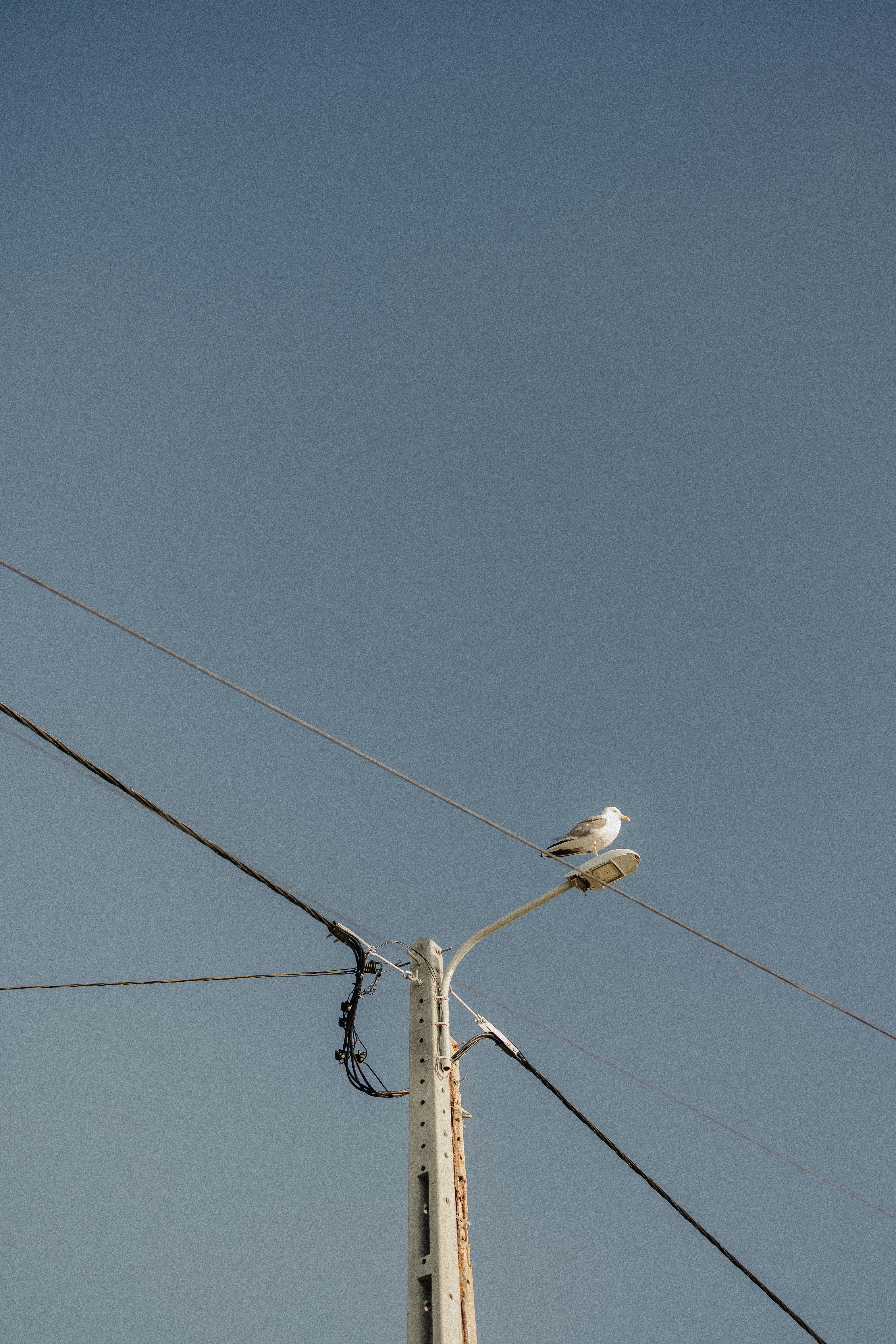 Photo by patresinger