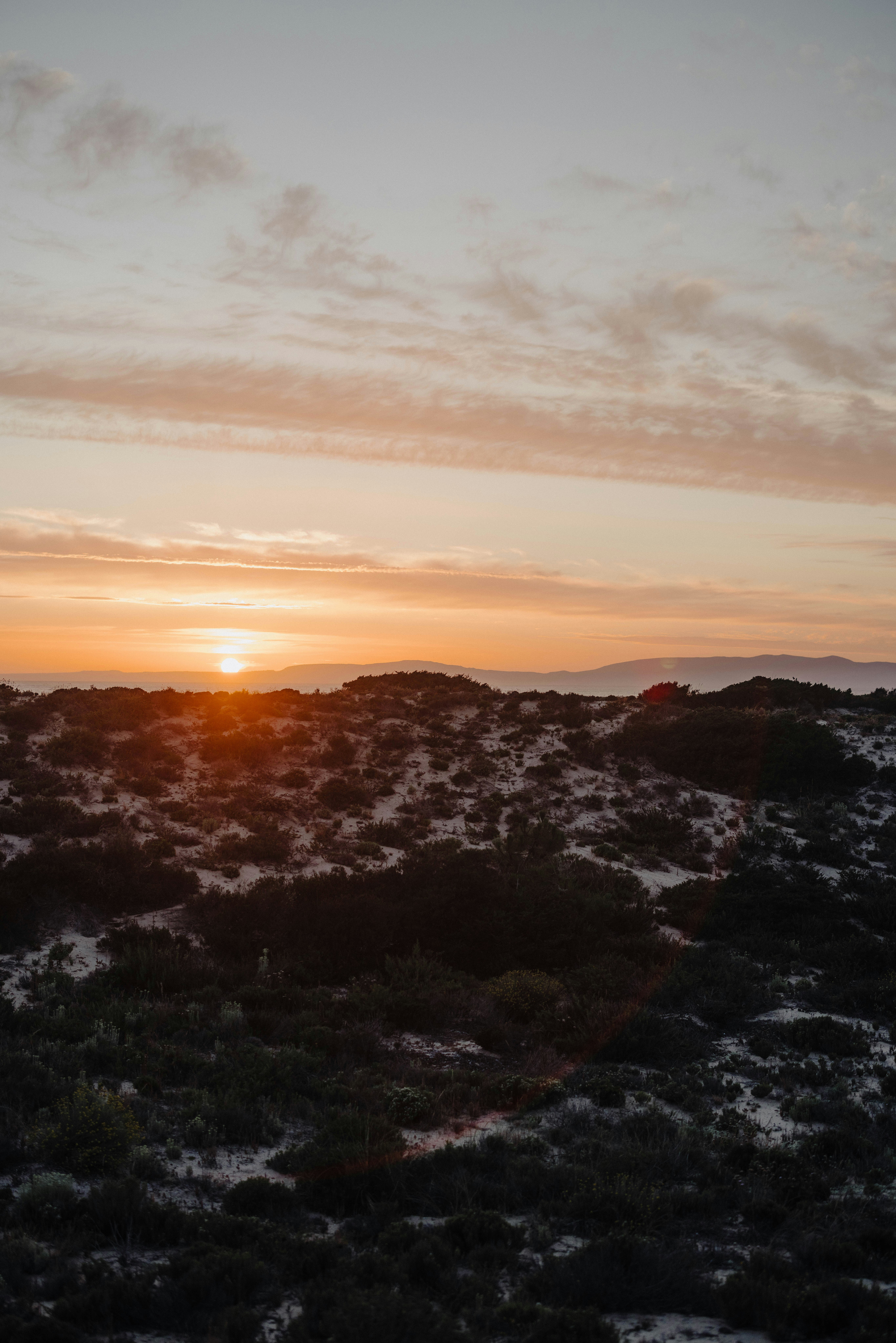 Photo by patresinger