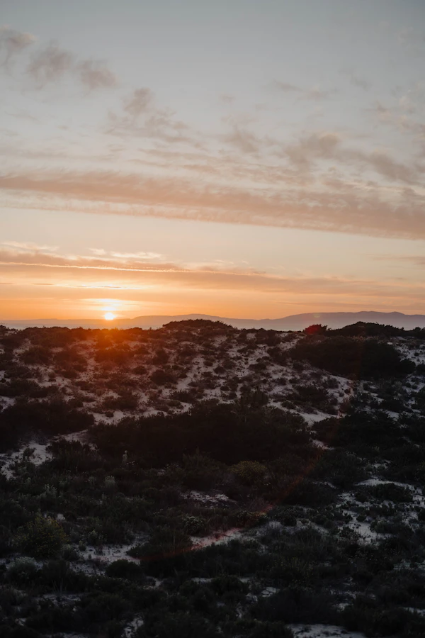 Comporta & the wild coast