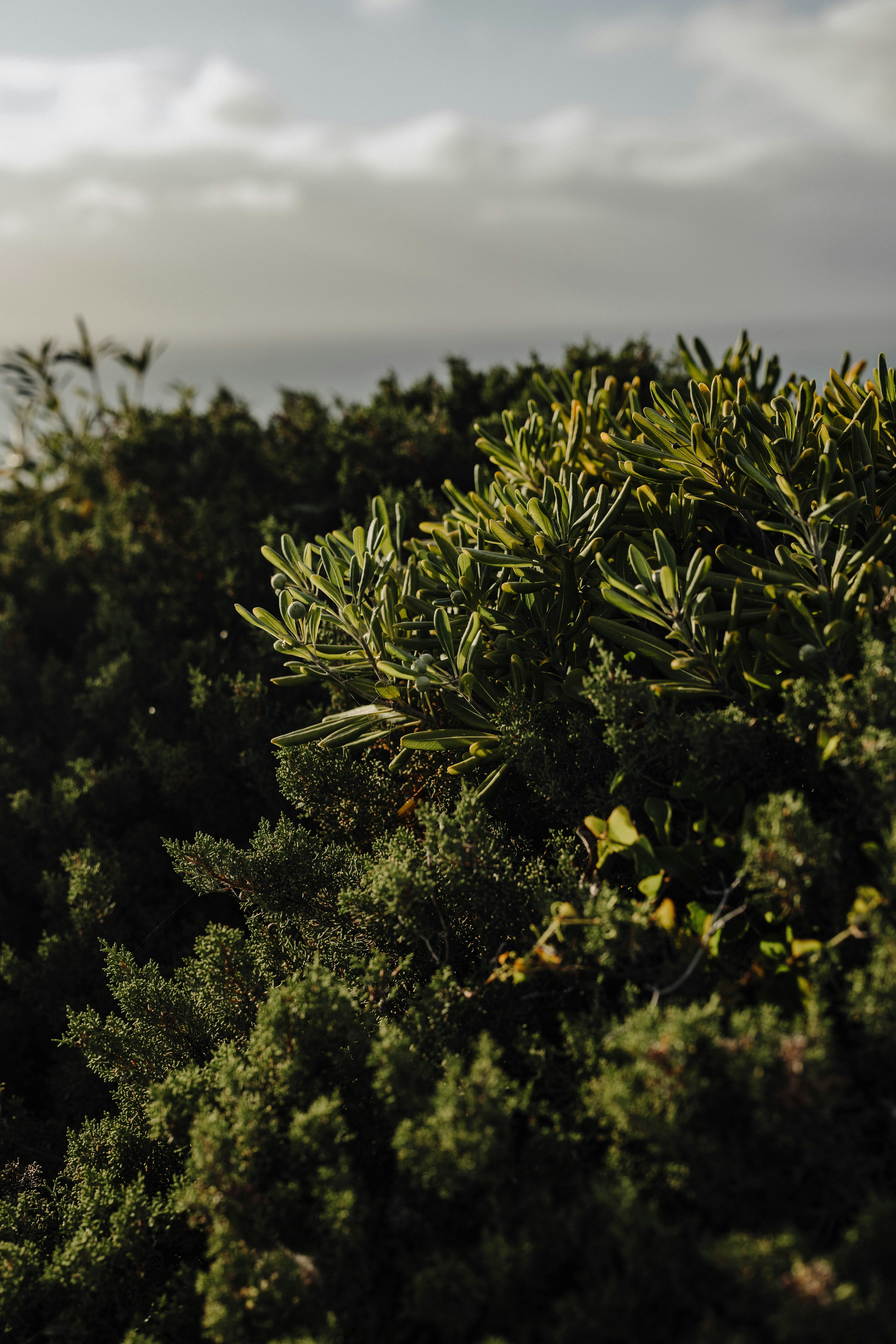 Photo by patresinger