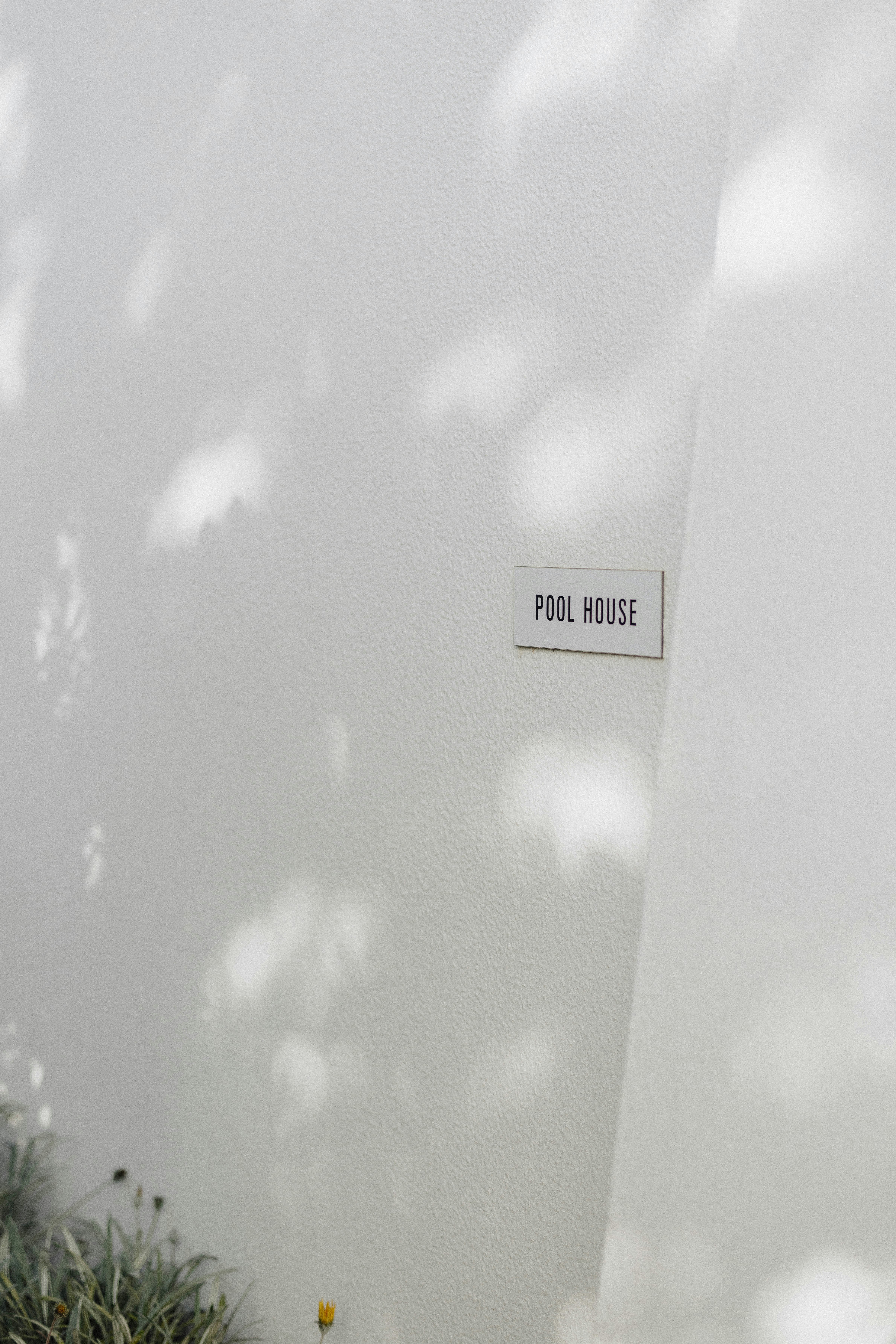 Photo by patresinger