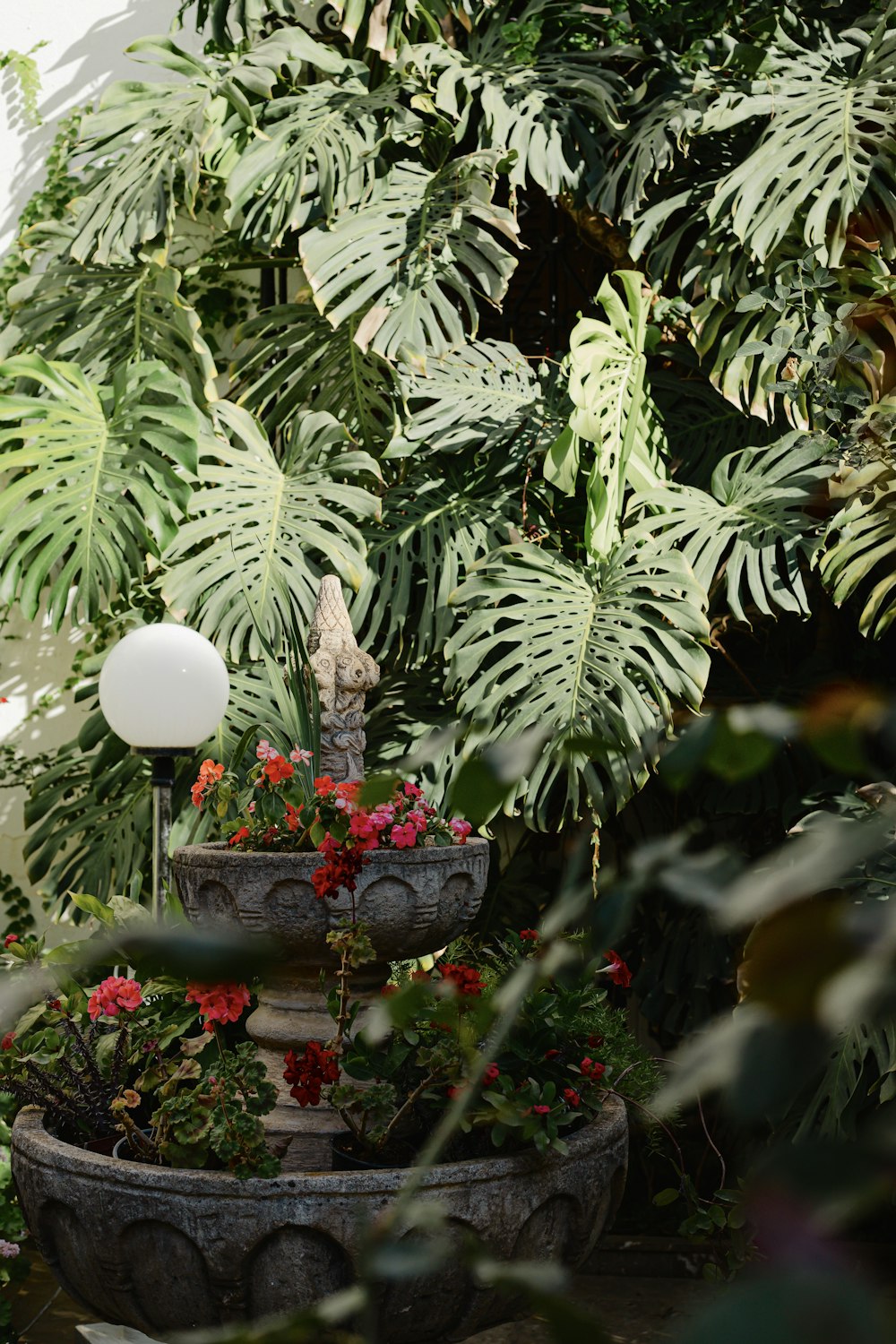 a group of potted plants