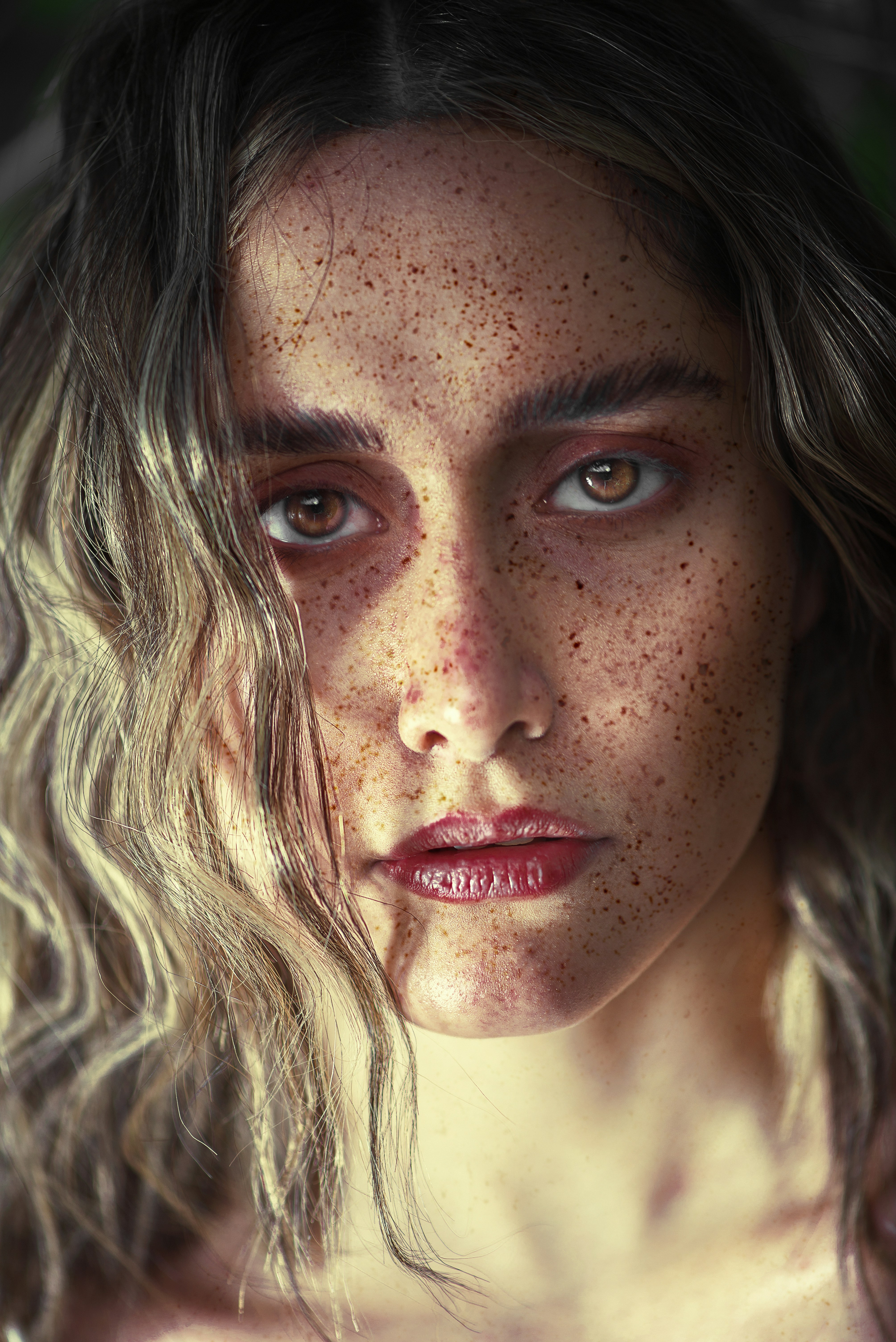 Photo by mohsen_karimi