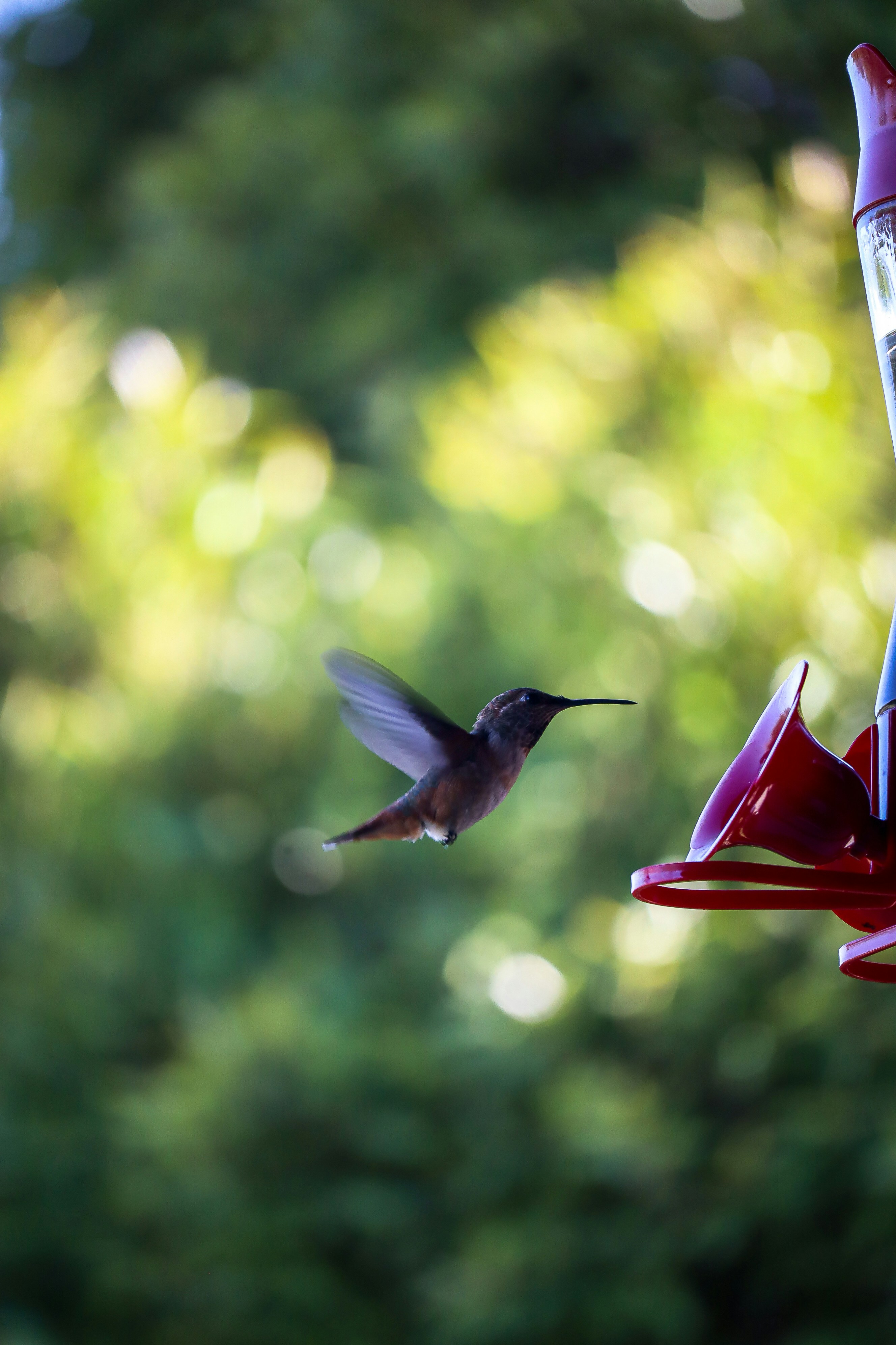 Photo by little_plant