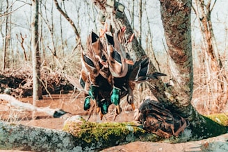 a group of bugs on a tree