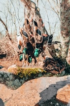 a group of birds on a tree