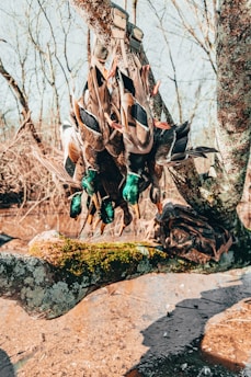a group of birds on a tree