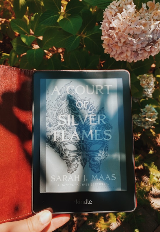 graphical user interface