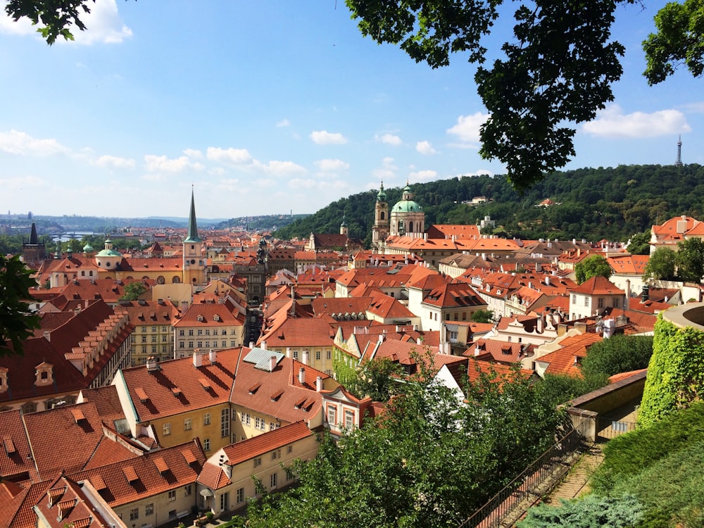 a group of buildings with trees in the front with Český Krumlov in the background