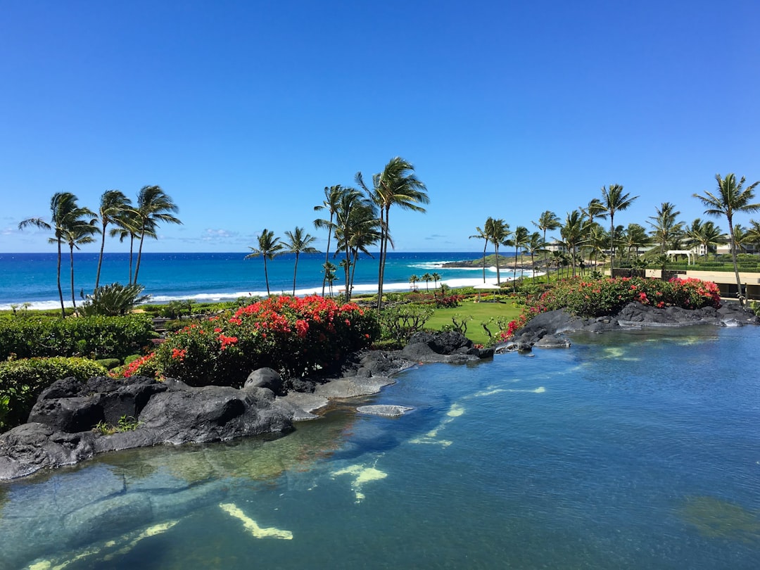 a beautiful tropical beach,