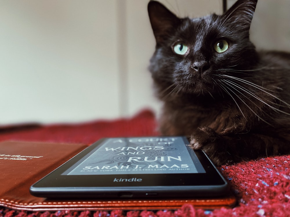 a cat sitting next to a tablet