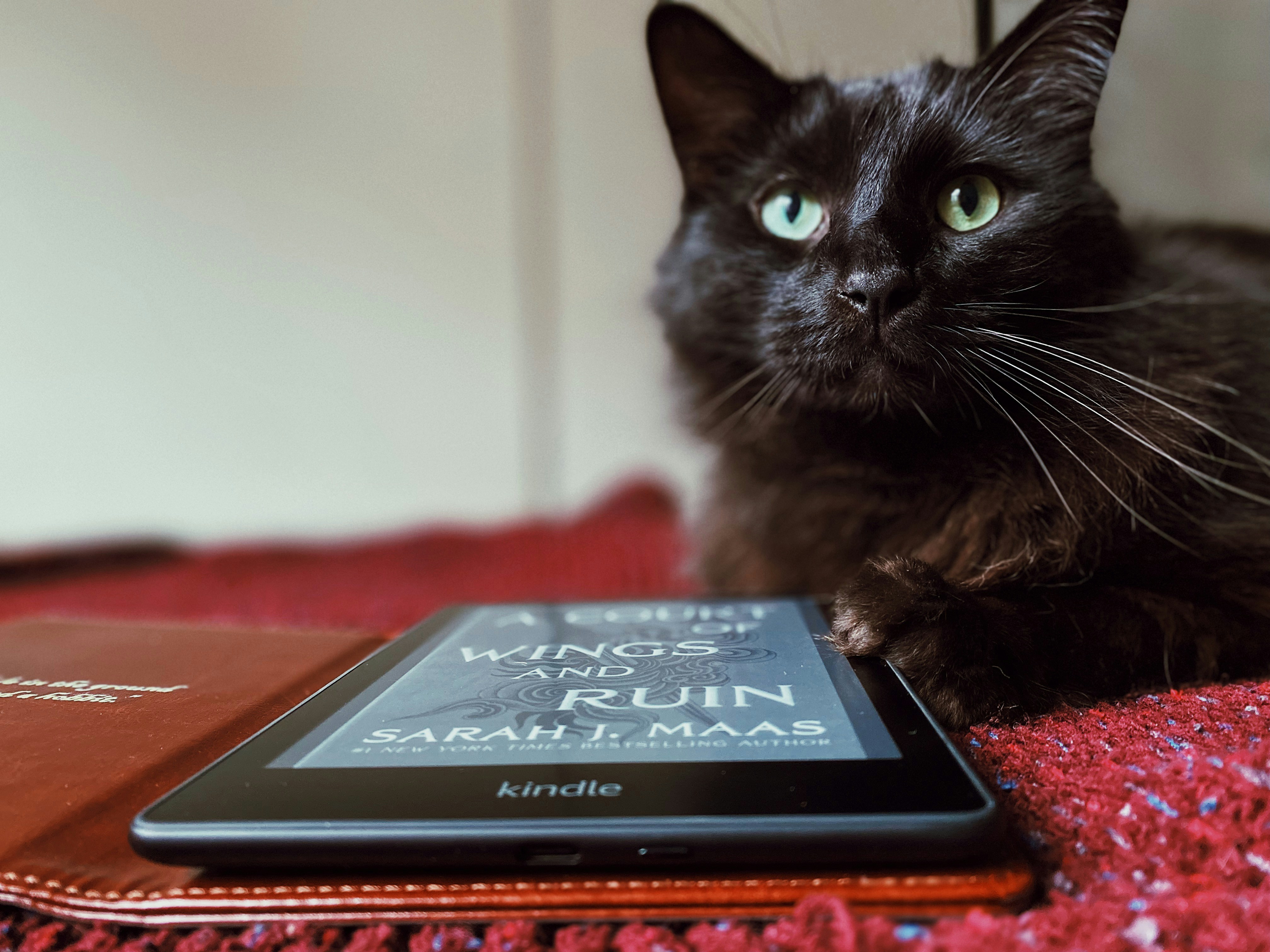 hand holding amazon kindle color e-reader displaying colorful graphic novel