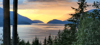 a body of water with trees around it and mountains in the background