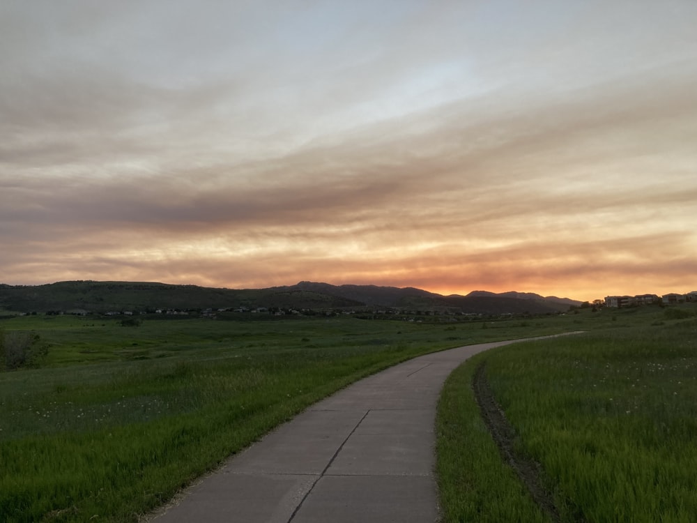 a path through a field