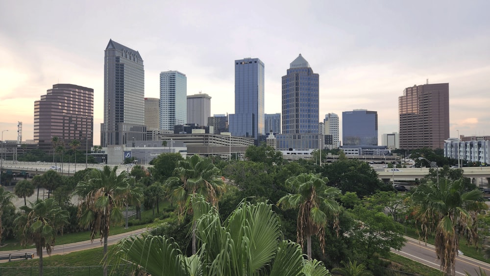 a city skyline with palm trees