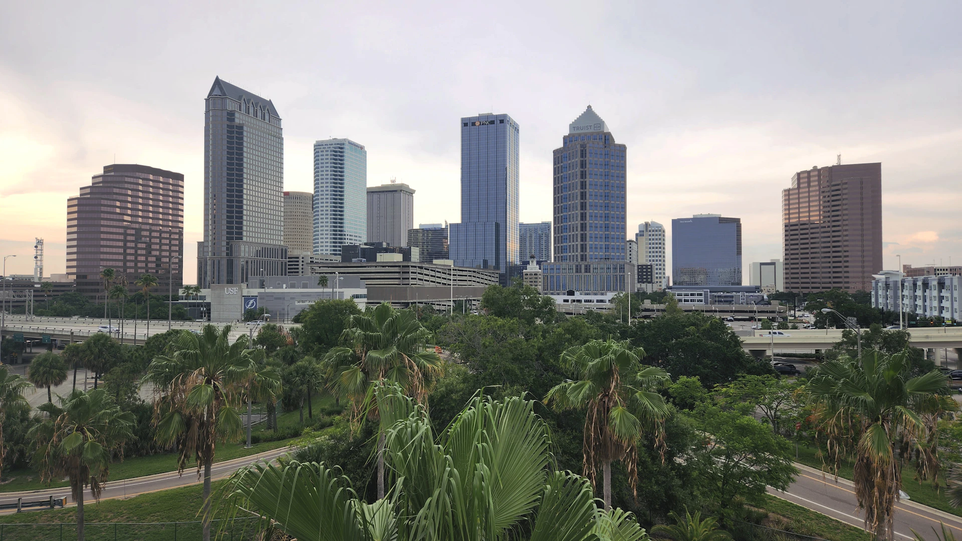 Downtown Tampa skyline with palm trees