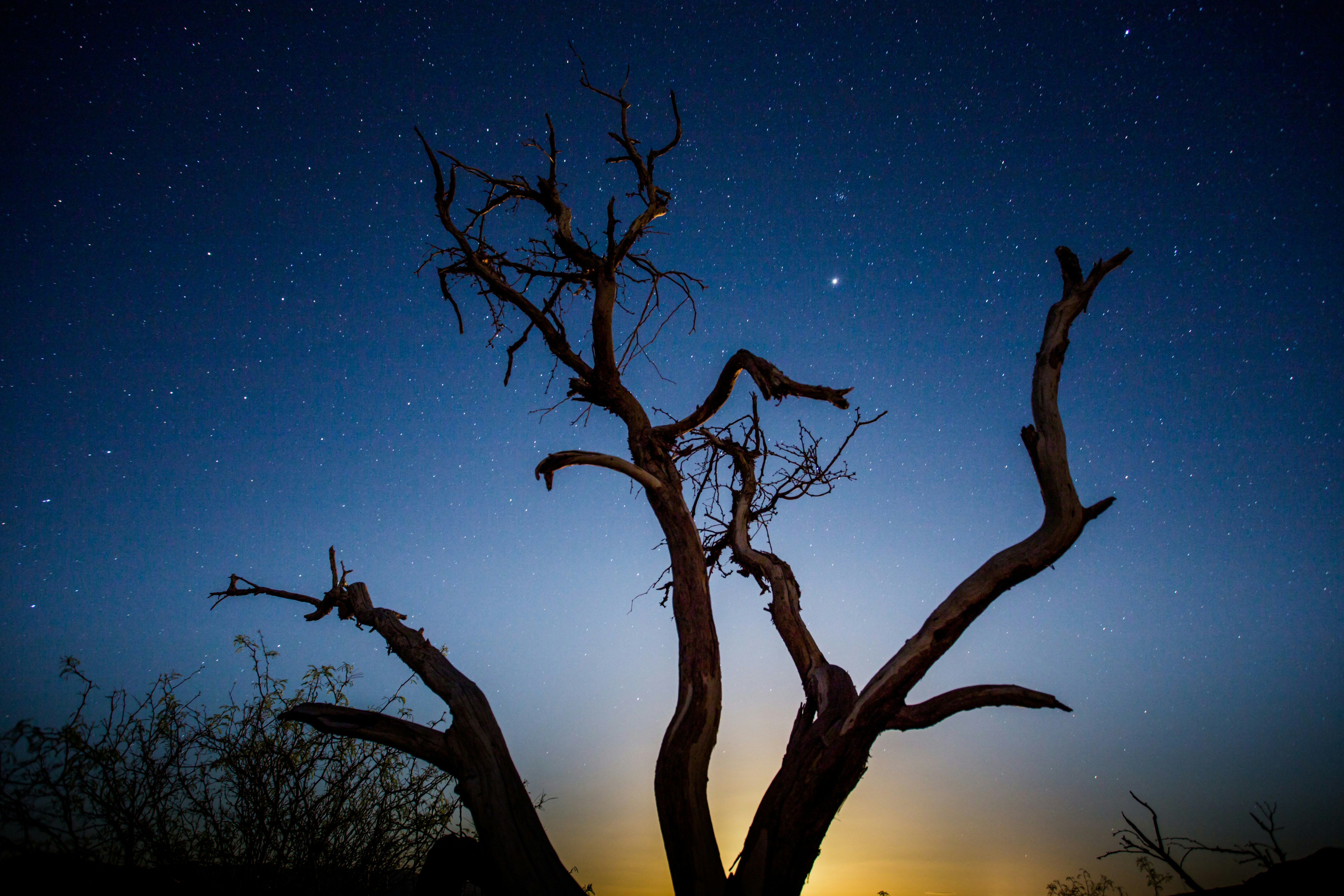 Photo by wolfbroadcast