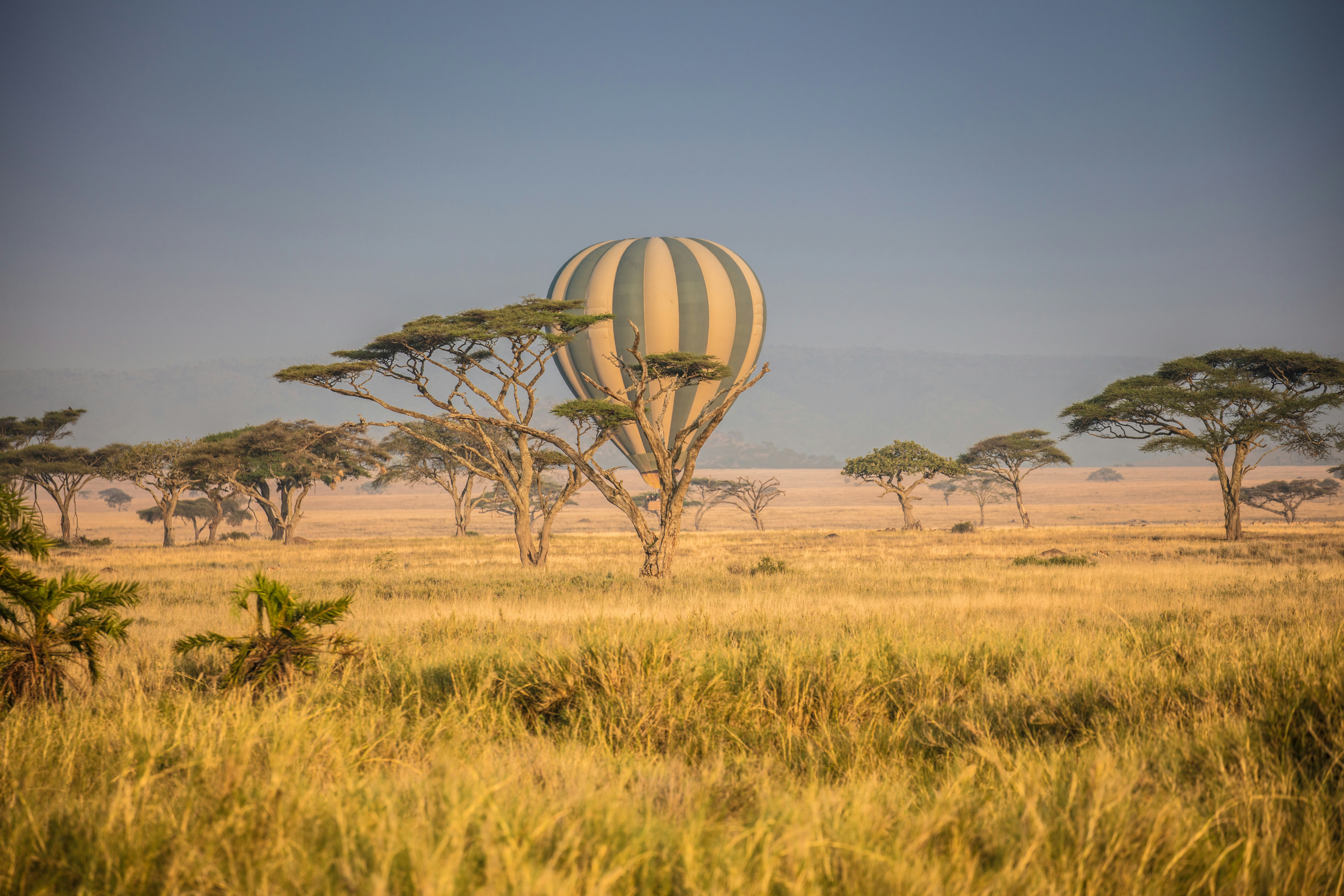 Hot air balloon at sunrise over Masai Mara
