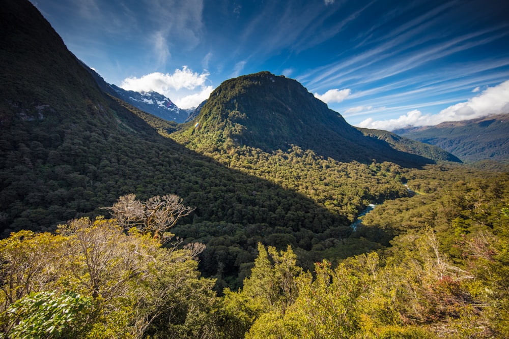 a valley with trees and mountains in the background