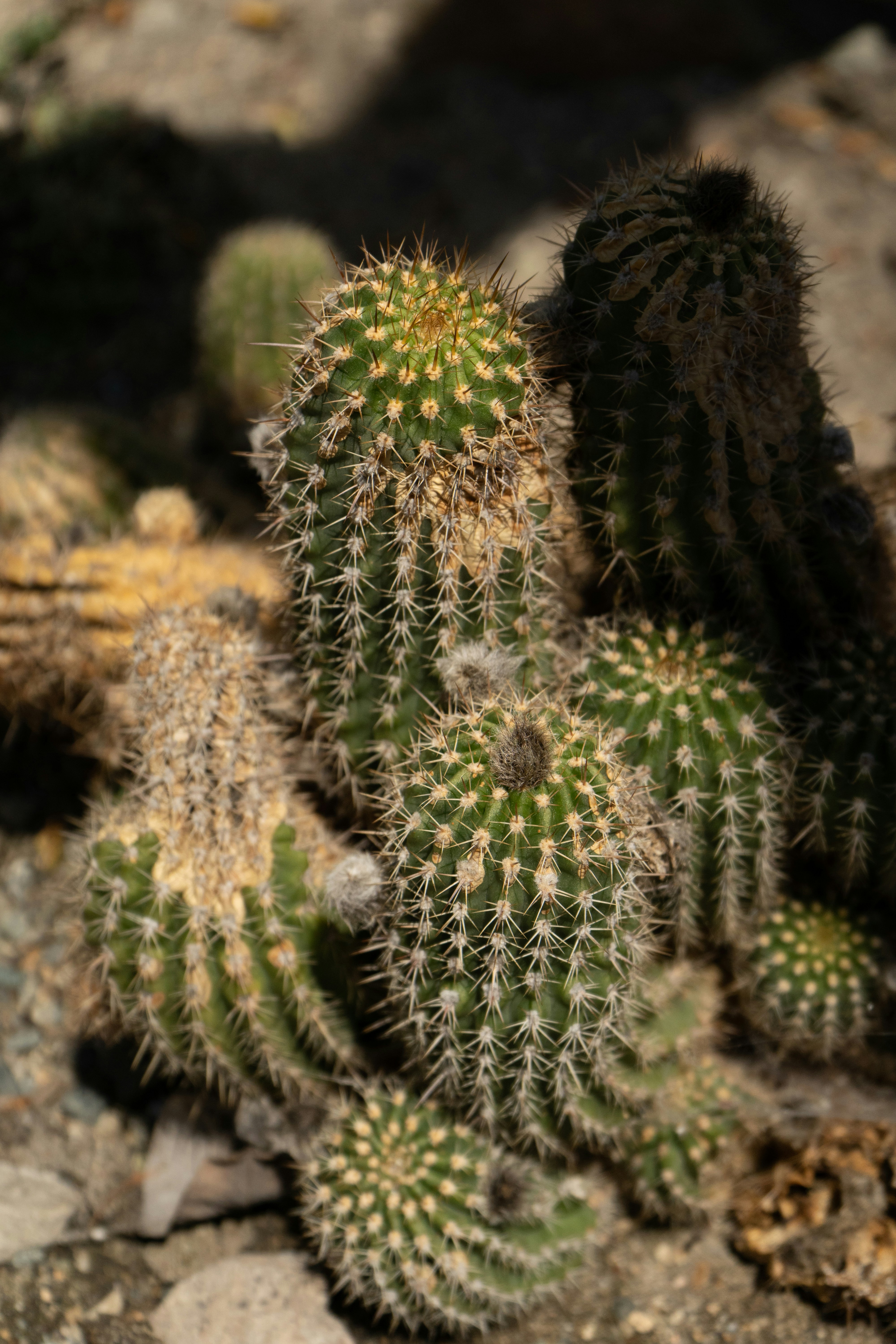 Photo by taylormortin