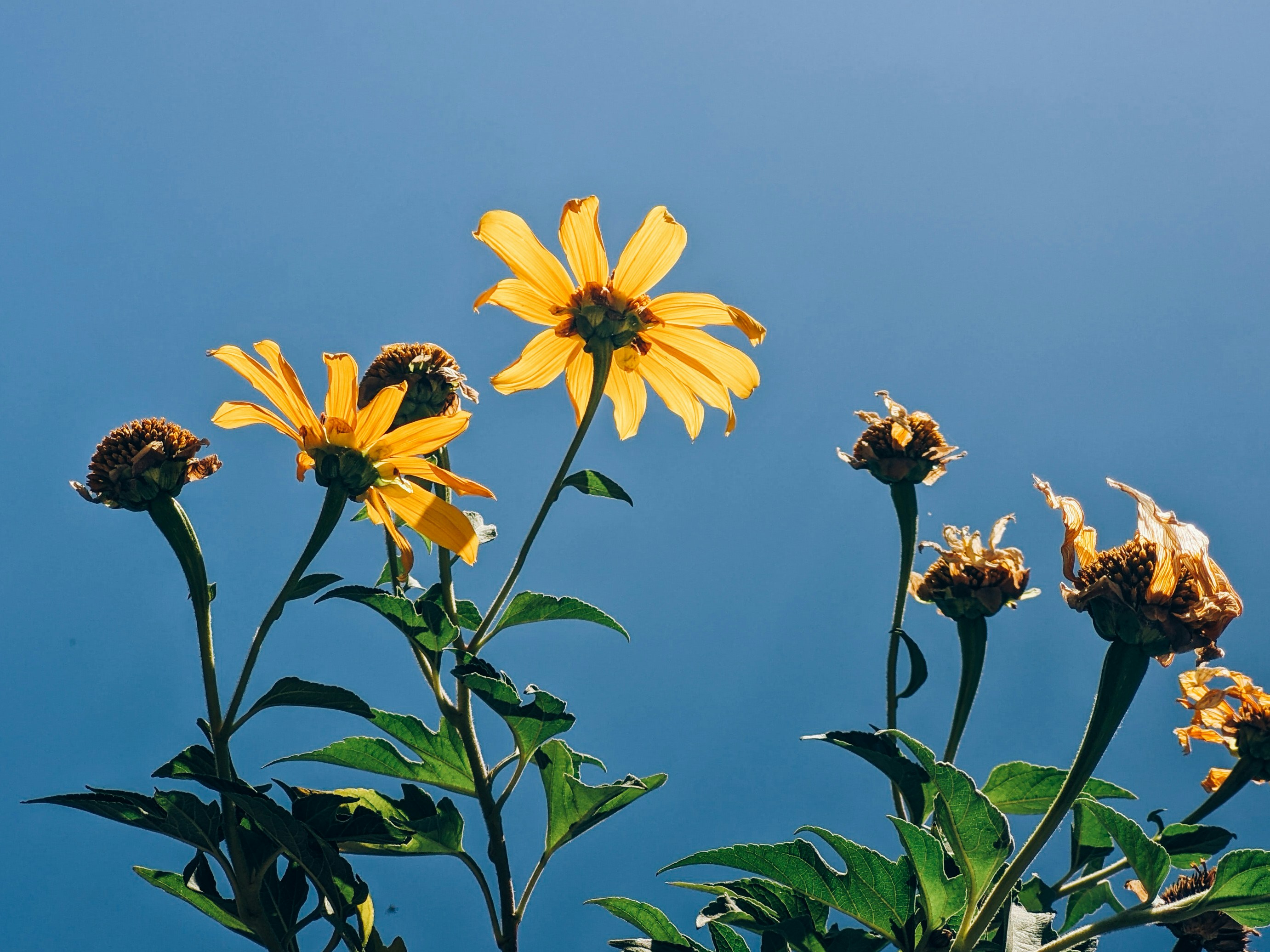 Photo by claitonconto