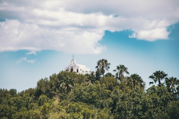 A white building with a prominent cross on the roof sits atop a lush green hill. Surrounded by dense greenery and tall palm trees, the scene is set against a backdrop of a clear blue sky with scattered white clouds.