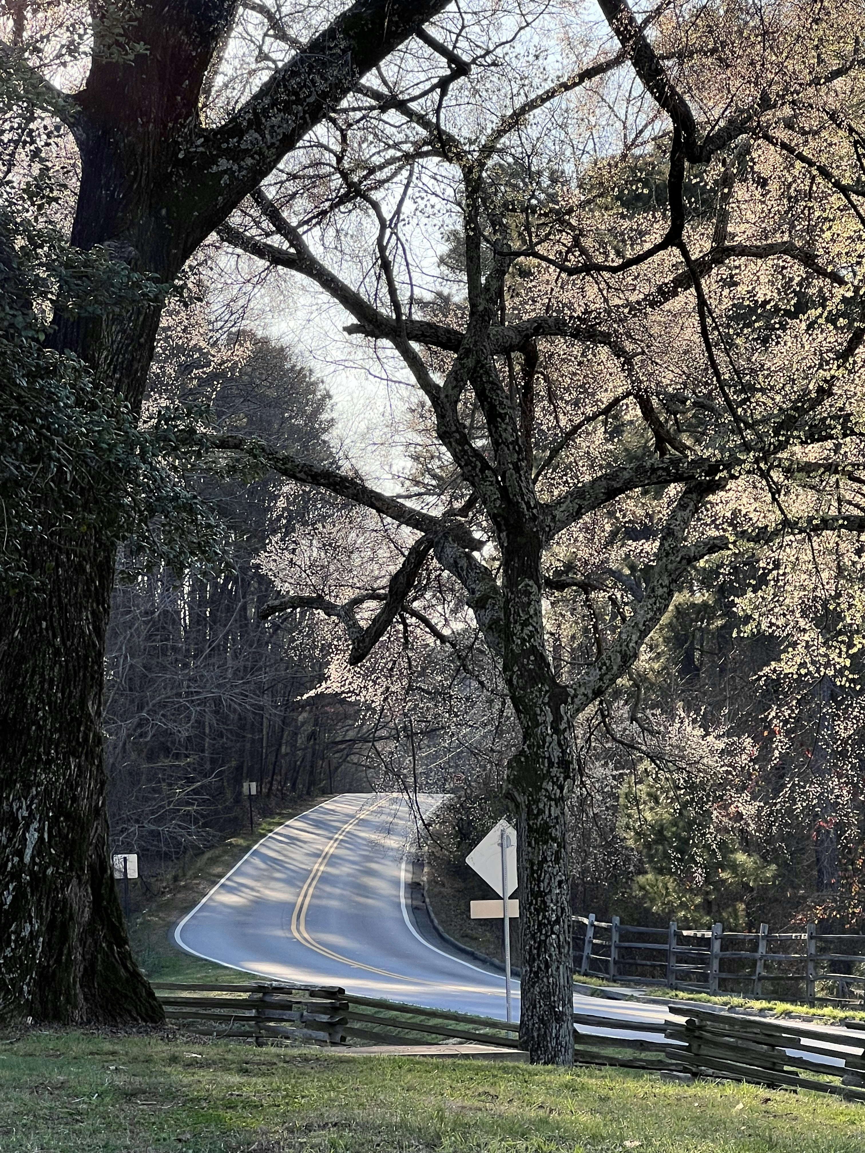 Seasonal Patterns and Weather Realities