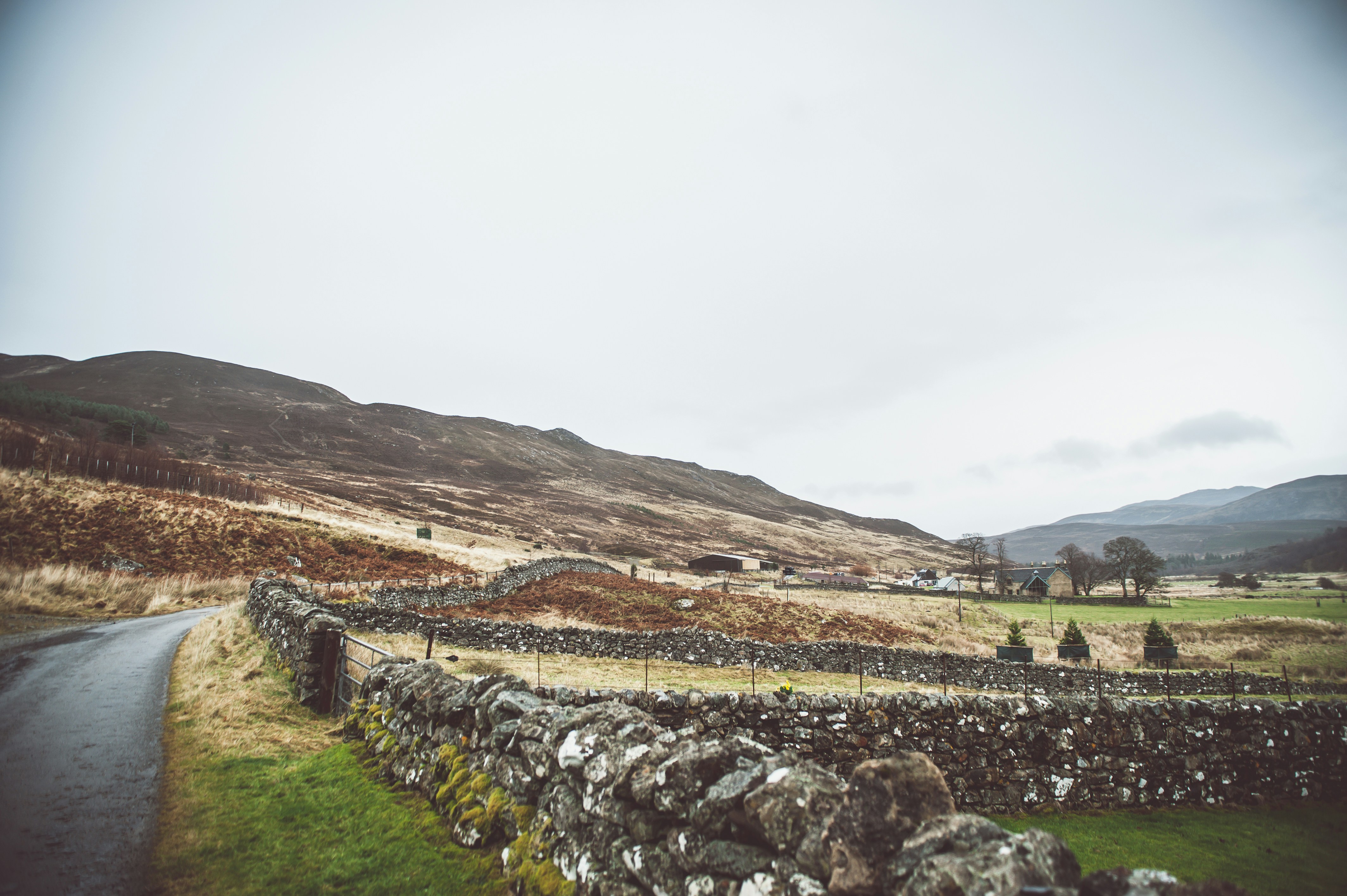 Photo by backhouse_wtf