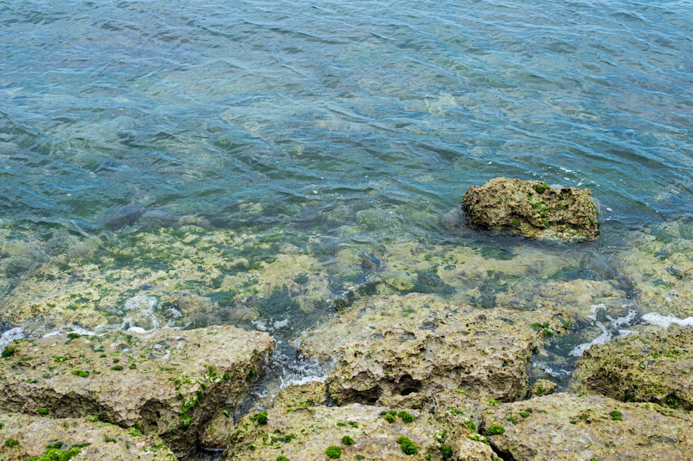 a rocky beach with a large body of water in the background