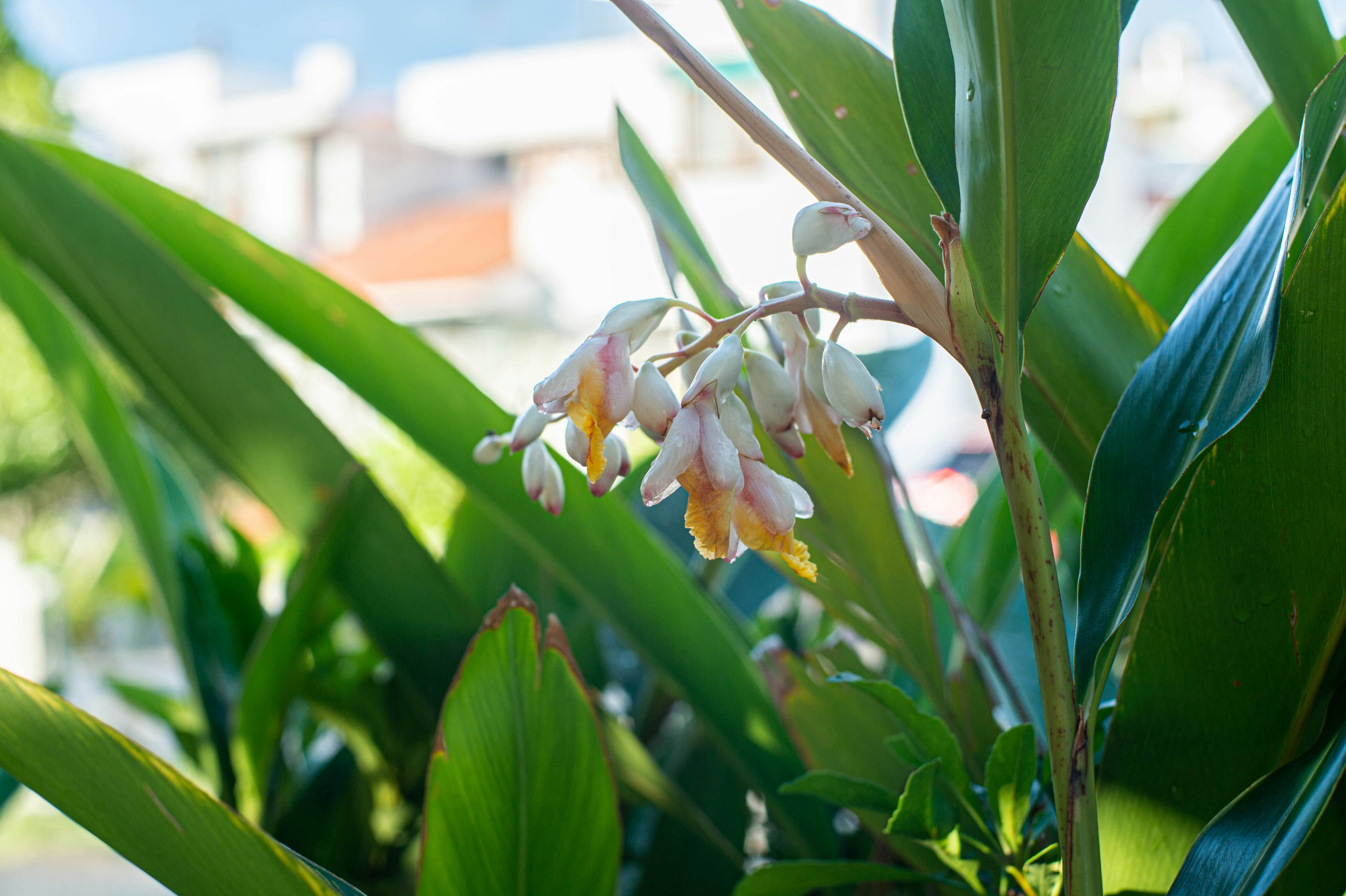 Photo by yubinphotographs