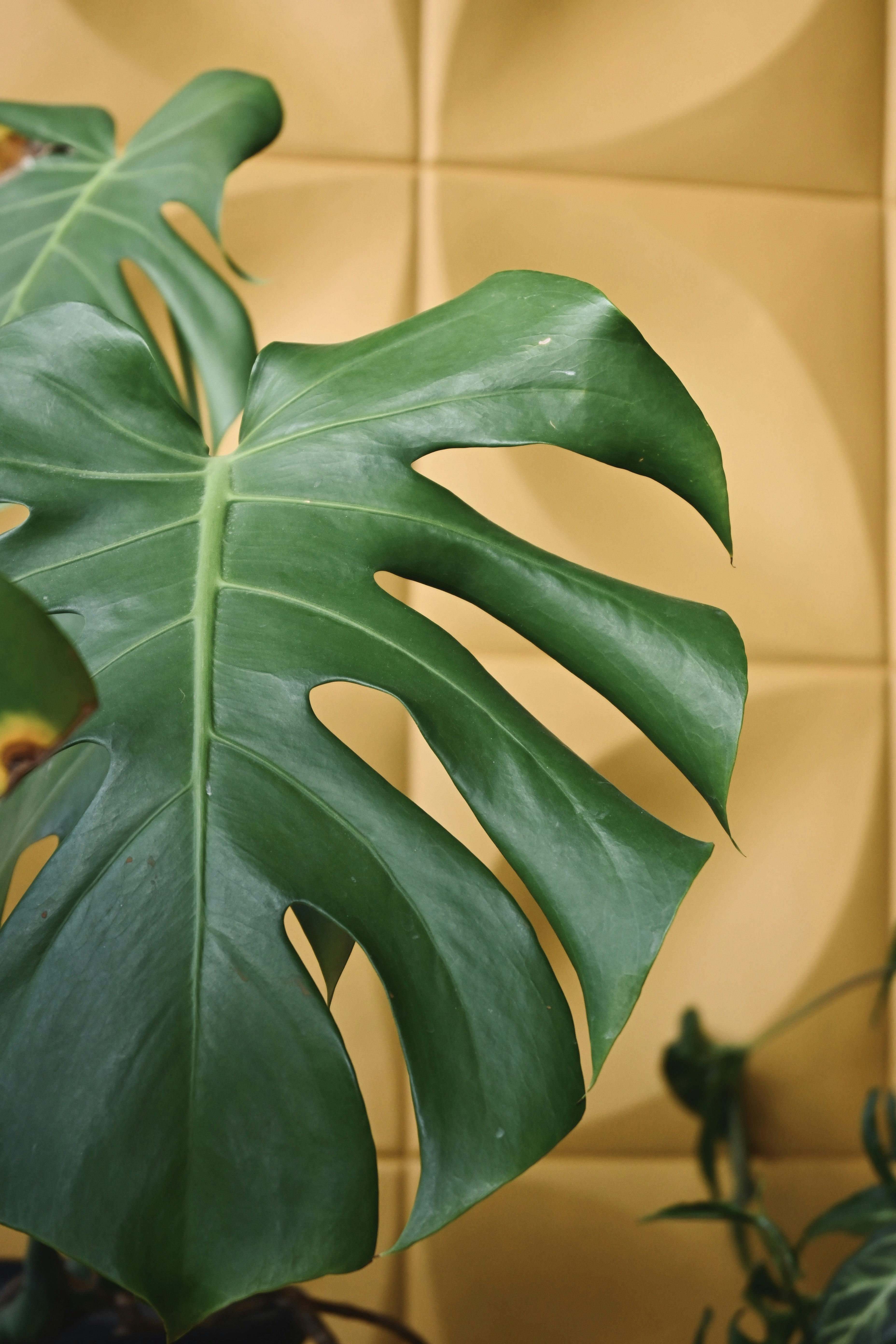 Photo by snowboardinets